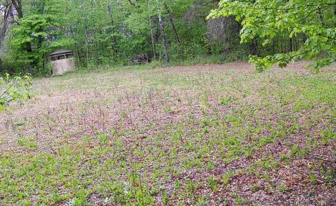 View of Land at 6818 460th Street, Harris MN 55032, Harris (9 of 14) - Mike Wilen | Minnesota Team Real Estate