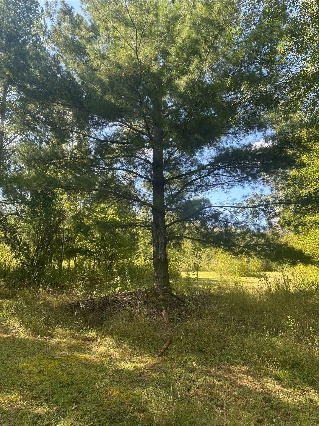 View of Land at 31603 Brook Park Road, Brook Park MN 55007, Brook Park (34 of 38) - Mike Wilen | Minnesota Team Real Estate