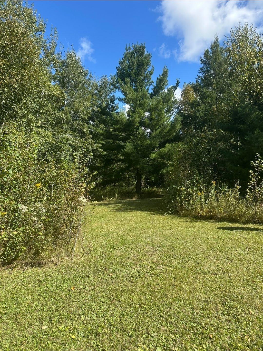 View of Land at 31603 Brook Park Road, Brook Park MN 55007, Brook Park (35 of 38) - Mike Wilen | Minnesota Team Real Estate