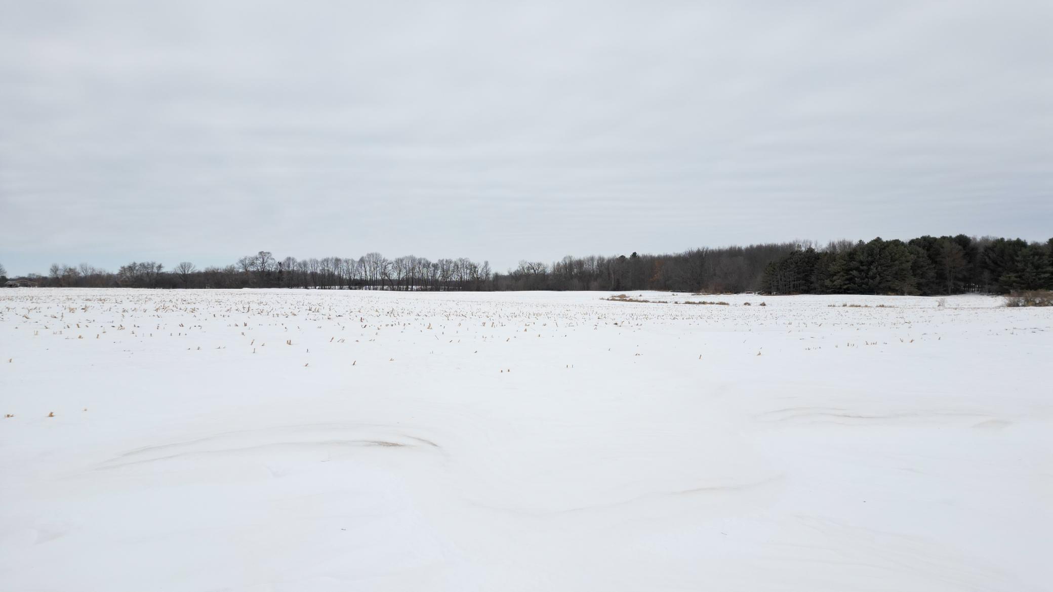 View of Land at TBD Park Trail, Center City MN 55012, Center City - Mike Wilen | Minnesota Team Real Estate