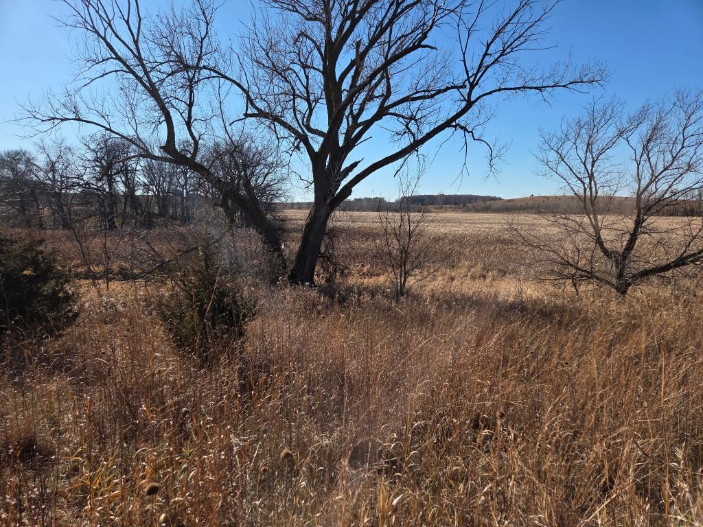 View of Land at 36999 141st Lane, Montgomery MN 56069, Montgomery - Mike Wilen | Minnesota Team Real Estate
