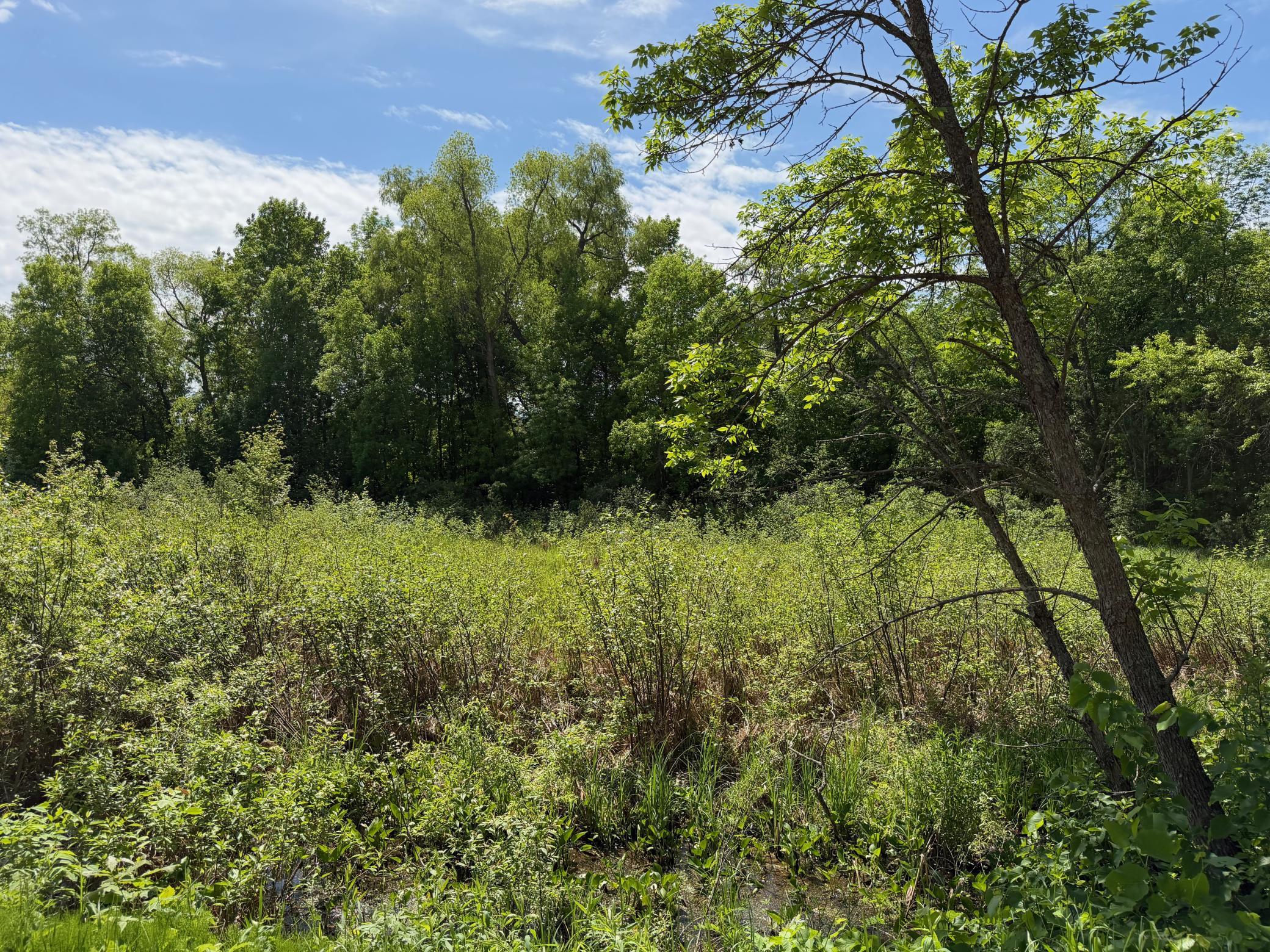 View of Land at TBD White Fish Road, Garrison MN 56450, Garrison (10 of 11) - Mike Wilen | Minnesota Team Real Estate