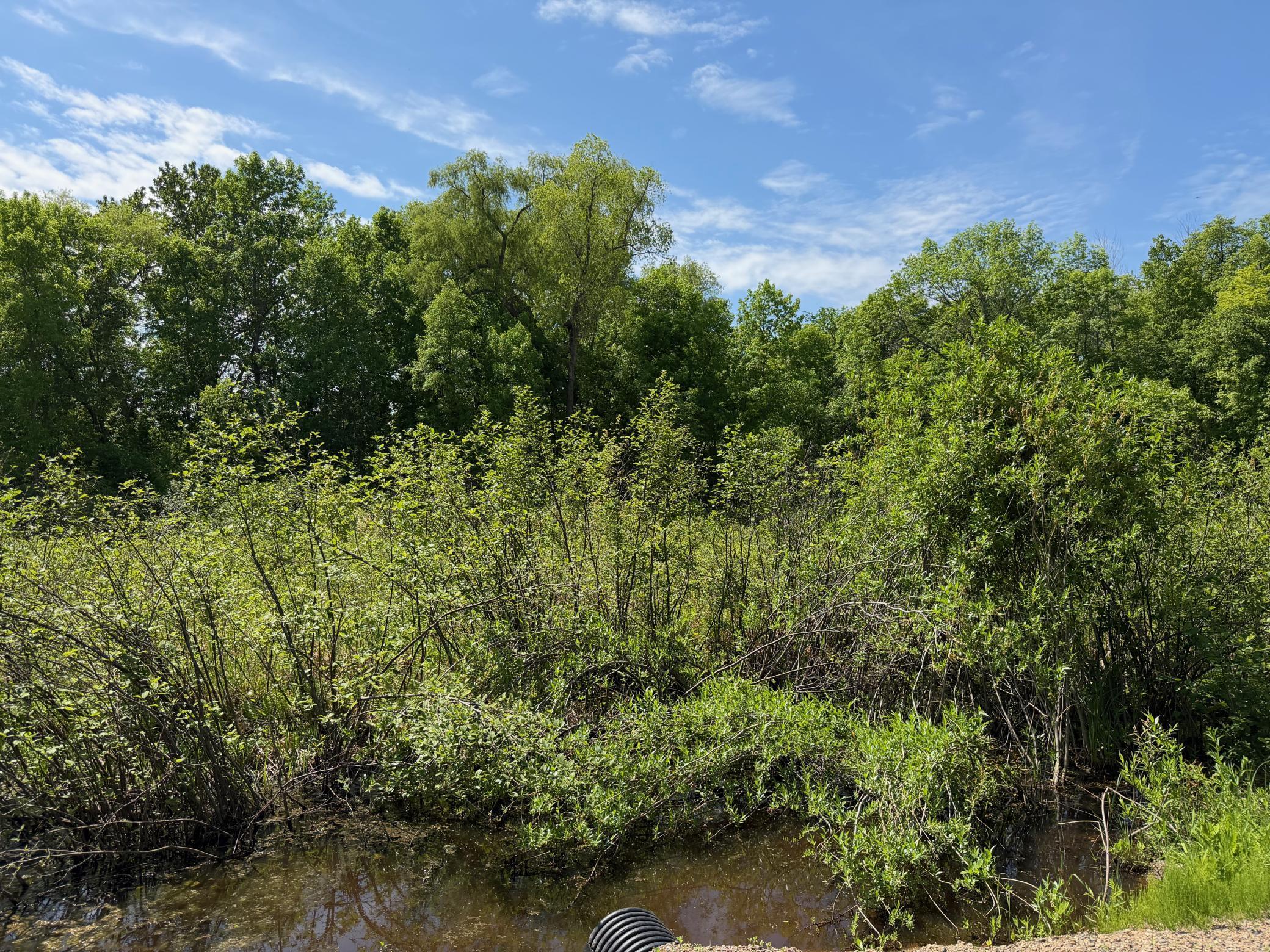 View of Land at TBD White Fish Road, Garrison MN 56450, Garrison (9 of 11) - Mike Wilen | Minnesota Team Real Estate