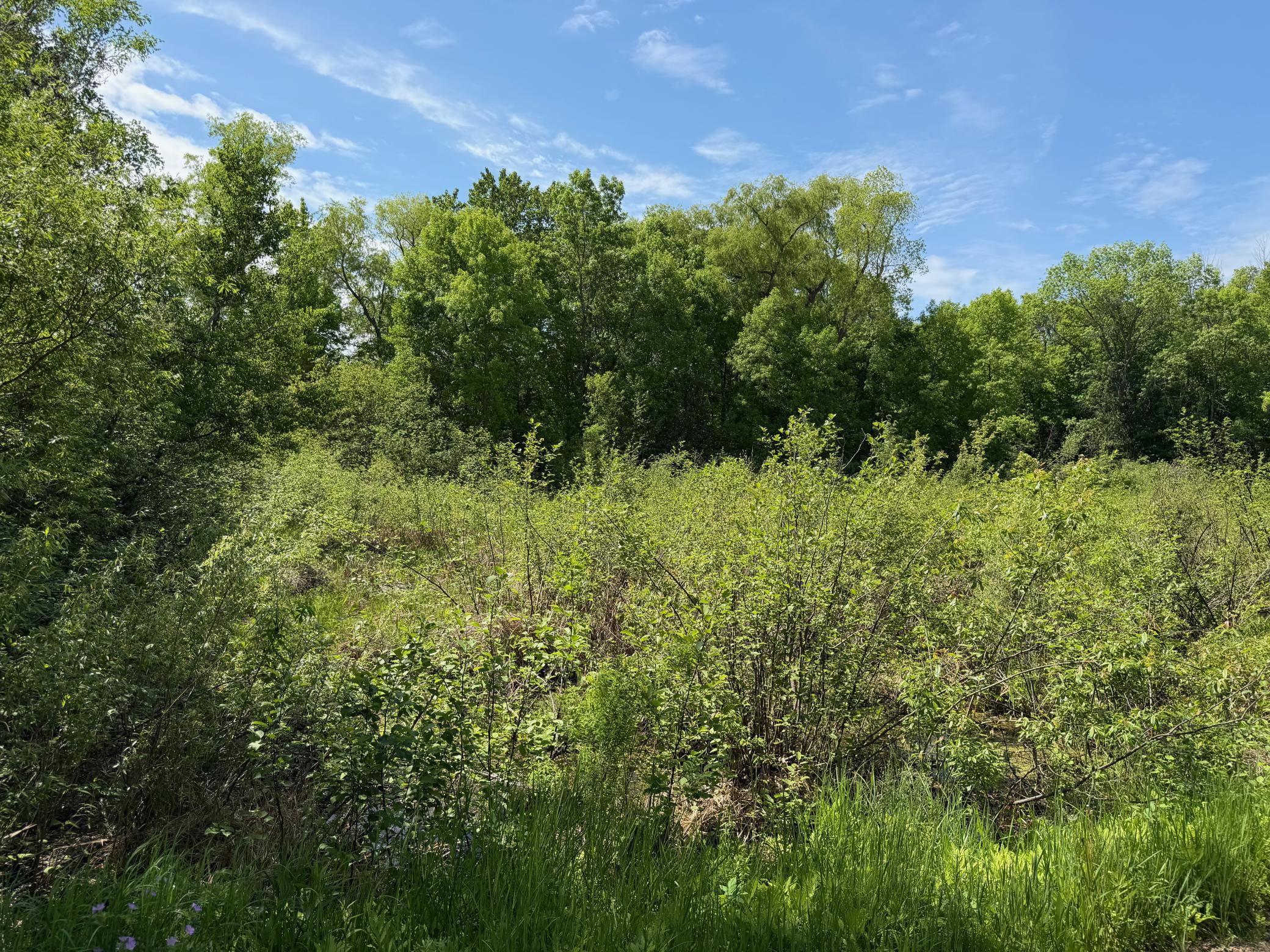 View of Land at TBD White Fish Road, Garrison MN 56450, Garrison (8 of 11) - Mike Wilen | Minnesota Team Real Estate