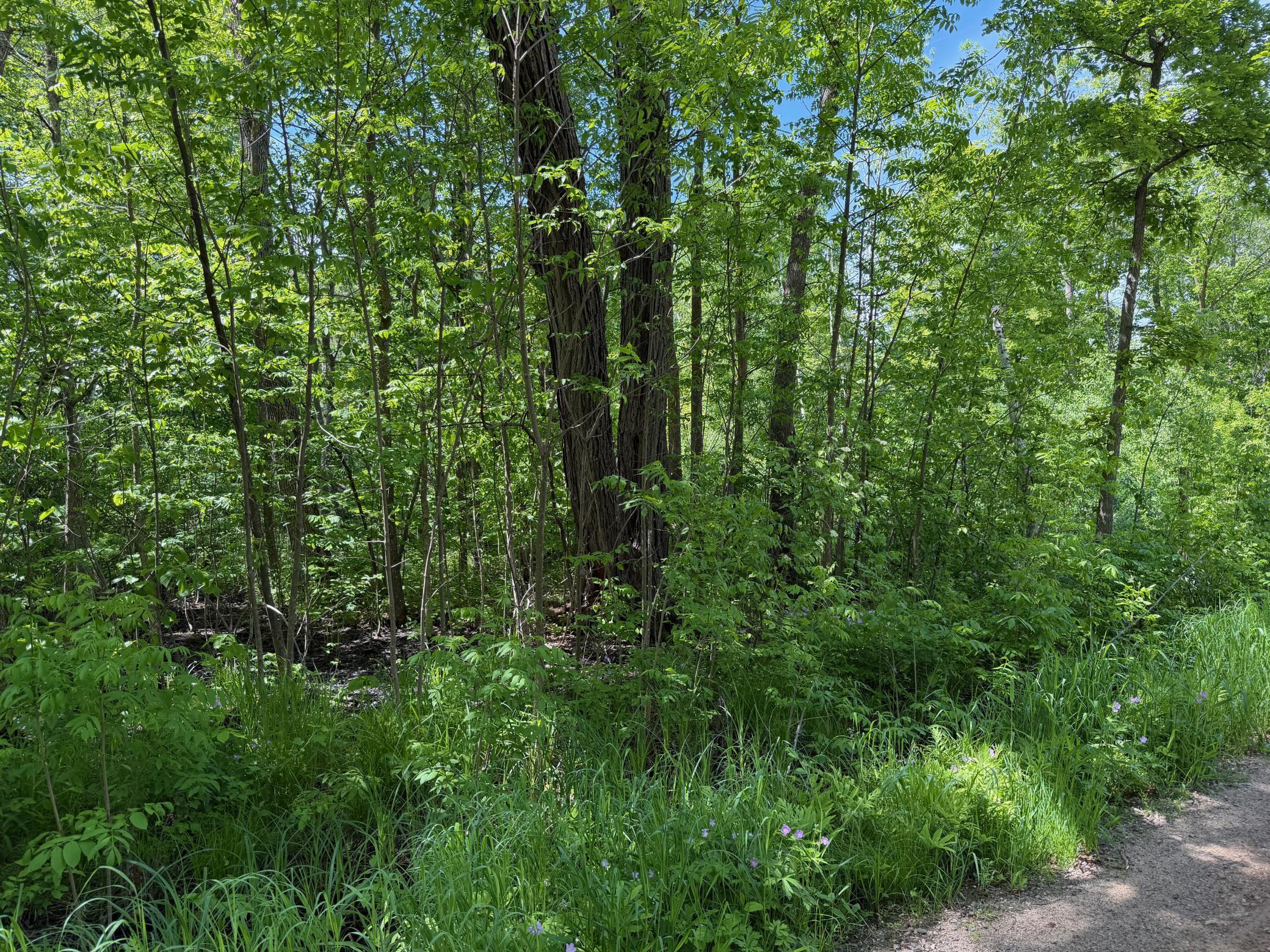 View of Land at TBD White Fish Road, Garrison MN 56450, Garrison (7 of 11) - Mike Wilen | Minnesota Team Real Estate