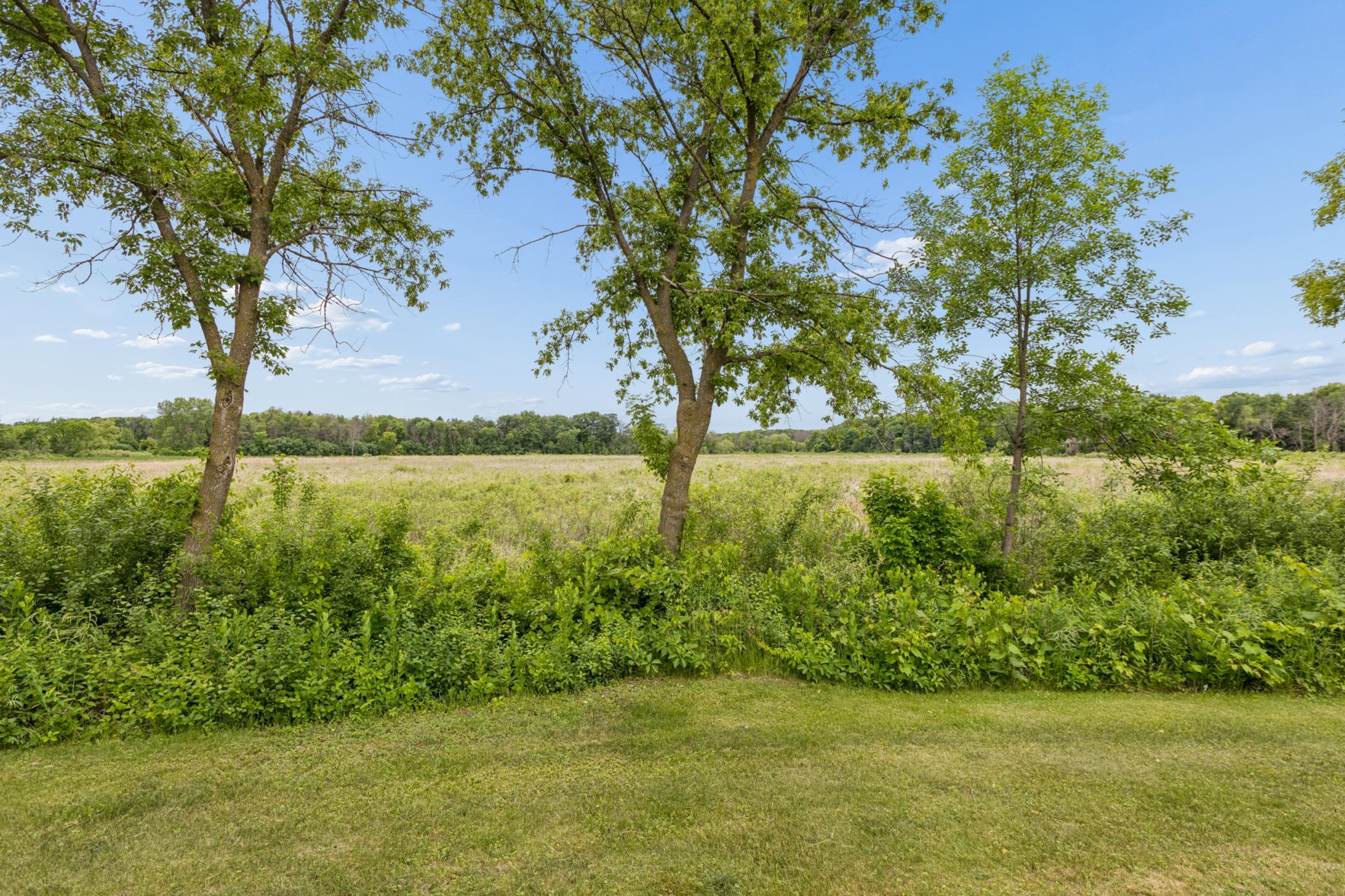 View of Residential at 1315 Blackfoot Trail, Medina MN 55356, Medina (58 of 89) - Mike Wilen | Minnesota Team Real Estate