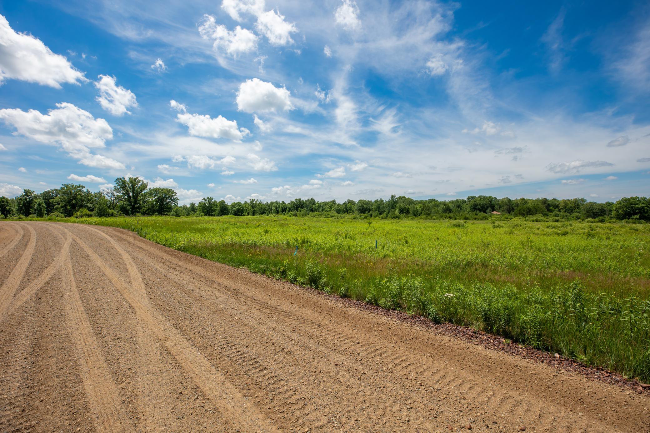 View of Land at Tract F County Road 30, Aitkin MN 56431, Aitkin (6 of 13) - Mike Wilen | Minnesota Team Real Estate