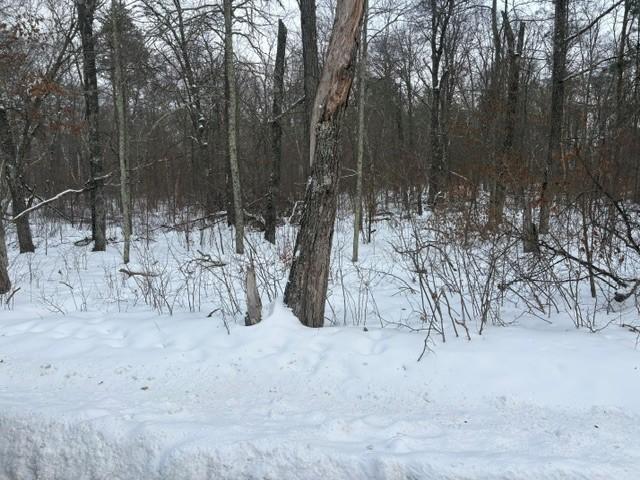 View of Land at L7B1 Bonnie Lakes Rd, Crosslake MN 56442, Crosslake (2 of 4) - Mike Wilen | Minnesota Team Real Estate
