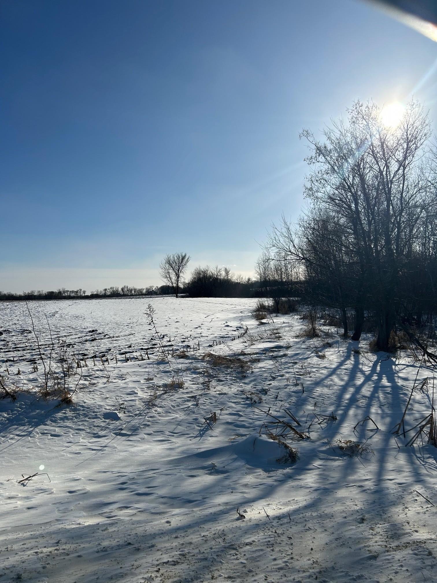 View of Land at XXXX 285th (180 Acres) Street, Northfield MN 55057, Northfield (2 of 66) - Mike Wilen | Minnesota Team Real Estate