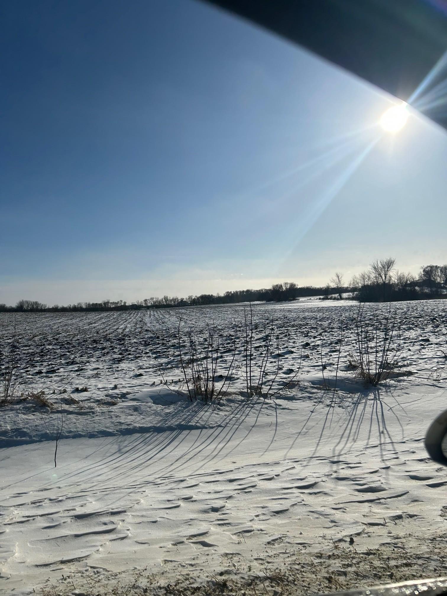 View of Land at XXXX 285th (180 Acres) Street, Northfield MN 55057, Northfield (3 of 66) - Mike Wilen | Minnesota Team Real Estate