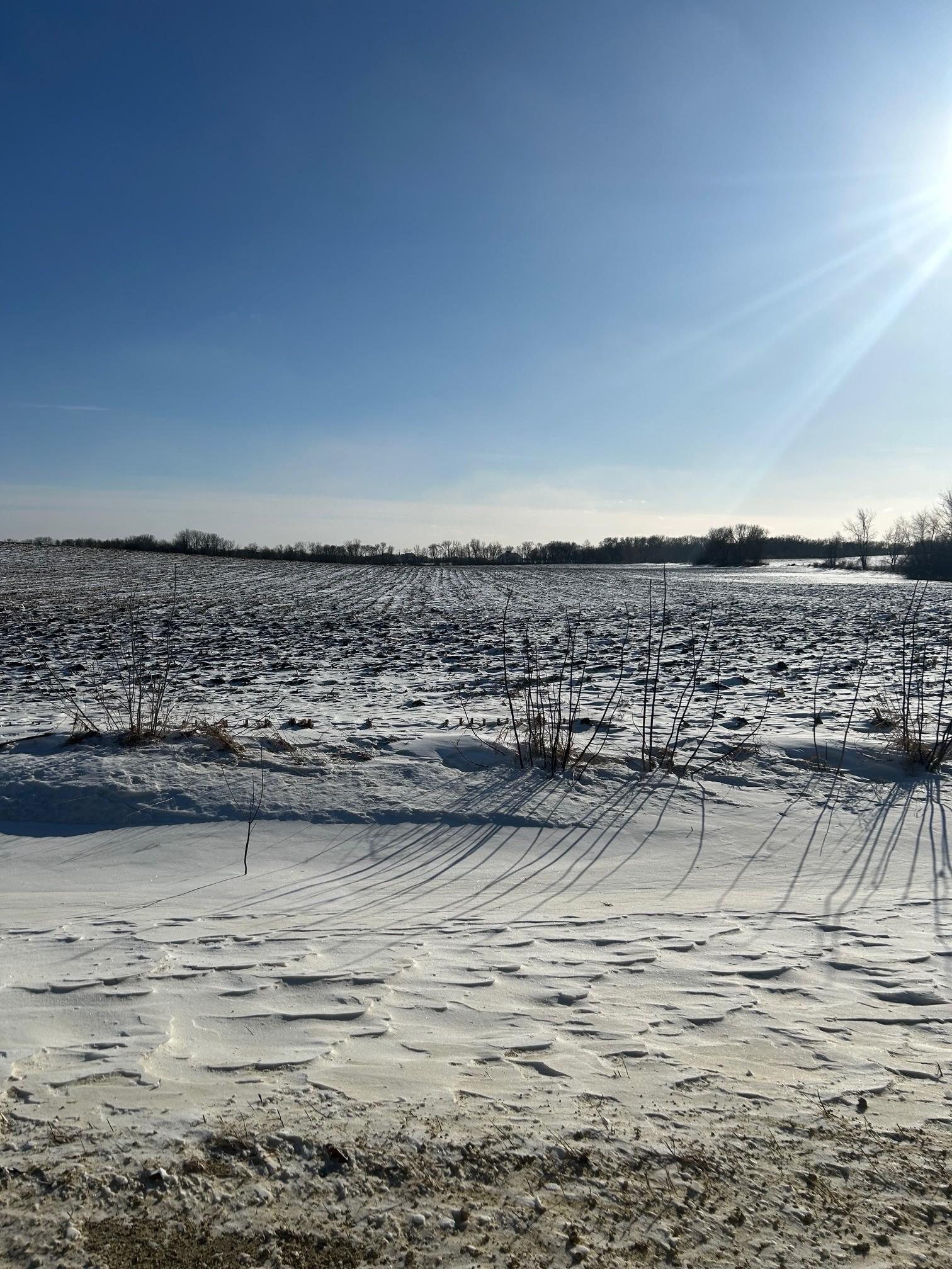 View of Land at XXXX 285th (180 Acres) Street, Northfield MN 55057, Northfield (4 of 66) - Mike Wilen | Minnesota Team Real Estate