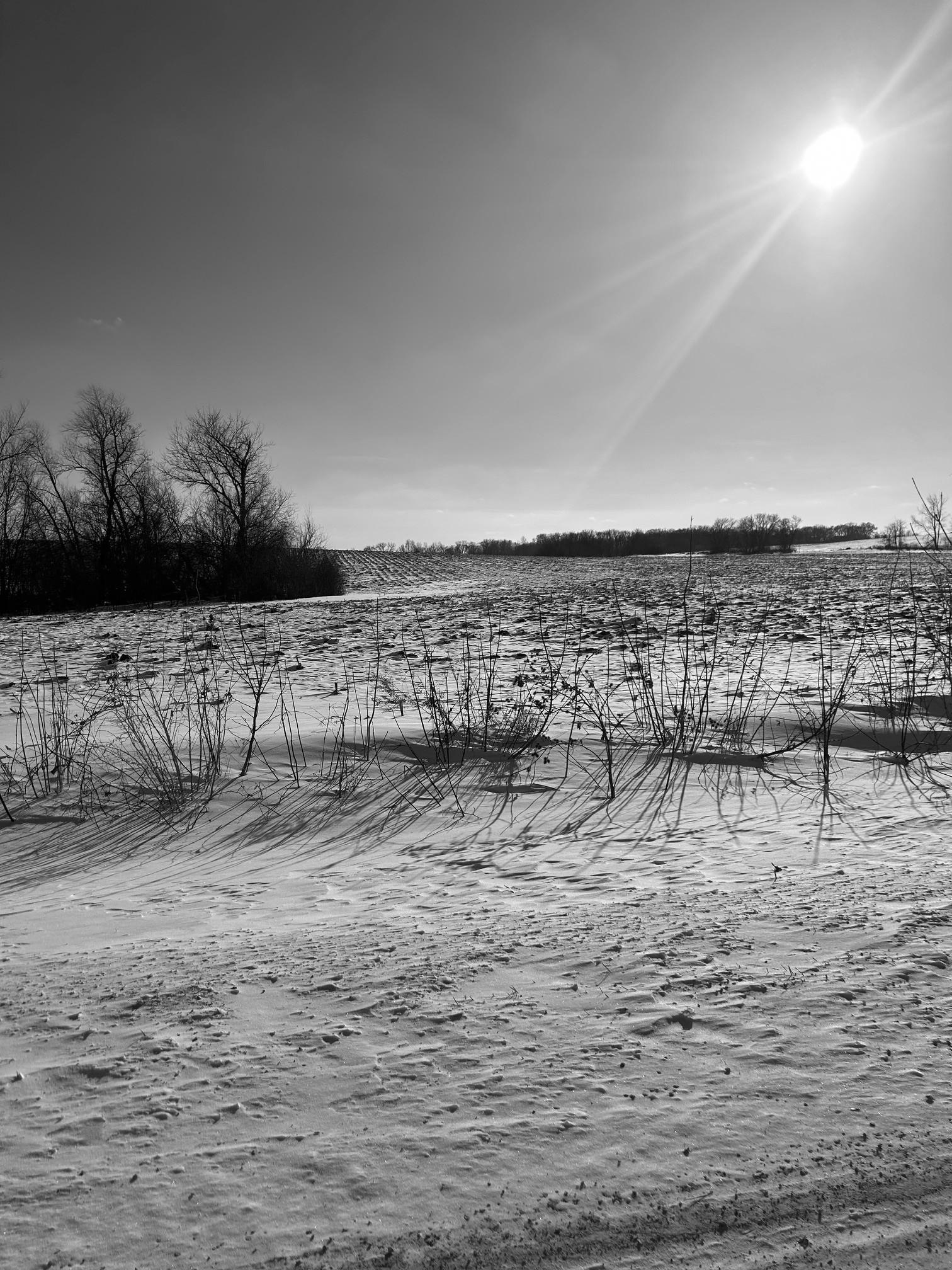 View of Land at XXXX 285th (180 Acres) Street, Northfield MN 55057, Northfield (5 of 66) - Mike Wilen | Minnesota Team Real Estate