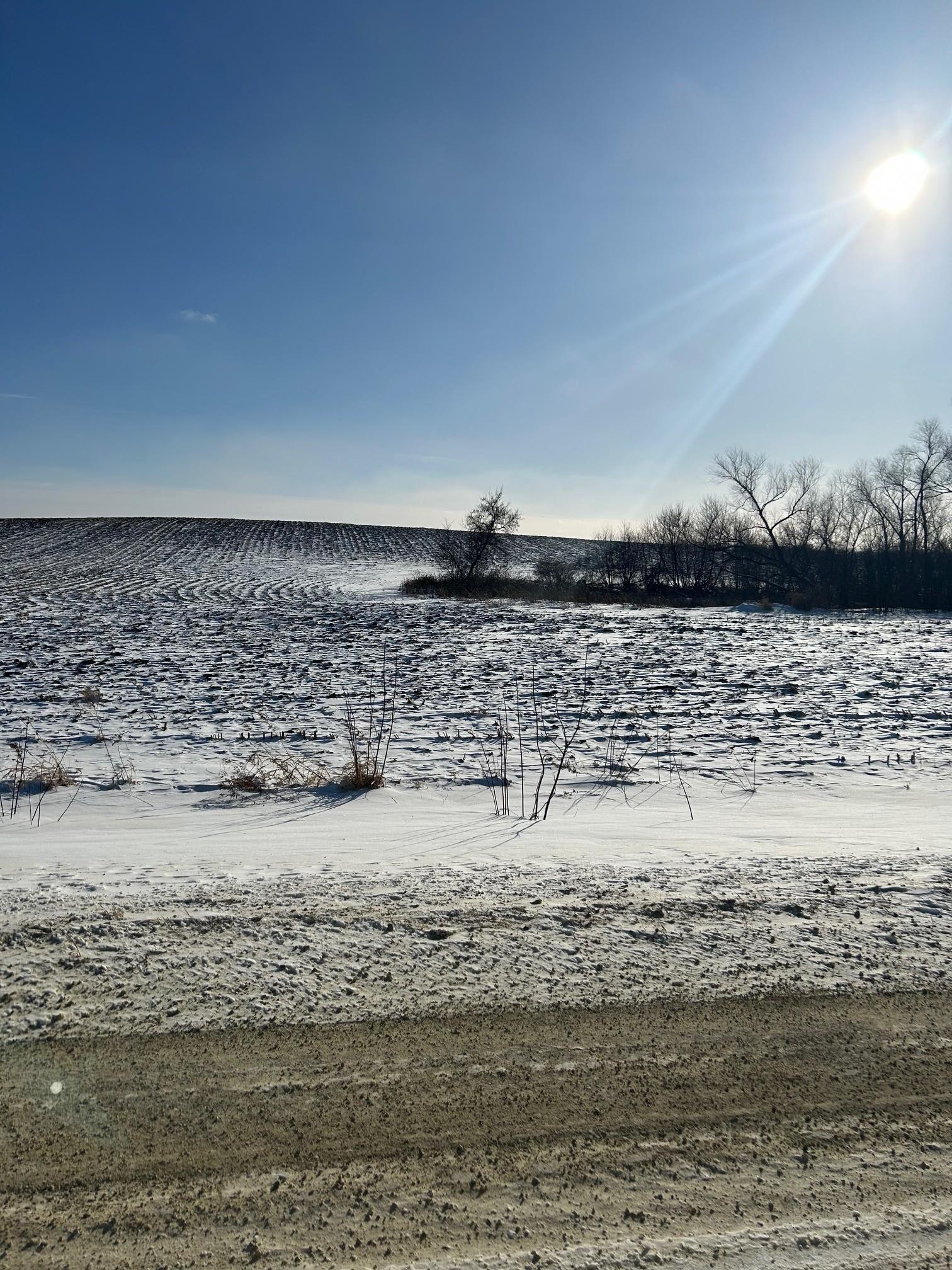 View of Land at XXXX 285th (180 Acres) Street, Northfield MN 55057, Northfield (6 of 66) - Mike Wilen | Minnesota Team Real Estate