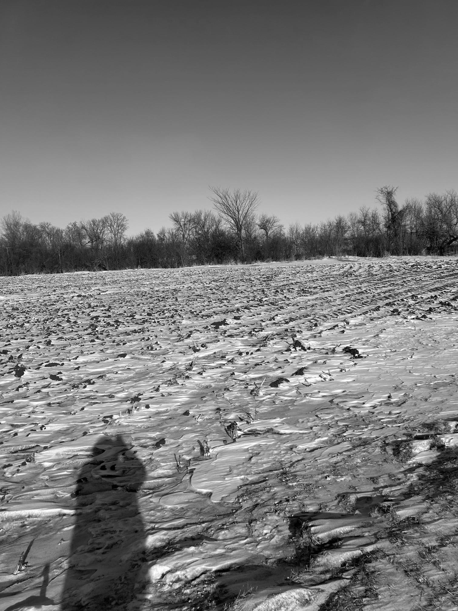 View of Land at XXXX 285th (180 Acres) Street, Northfield MN 55057, Northfield (8 of 66) - Mike Wilen | Minnesota Team Real Estate