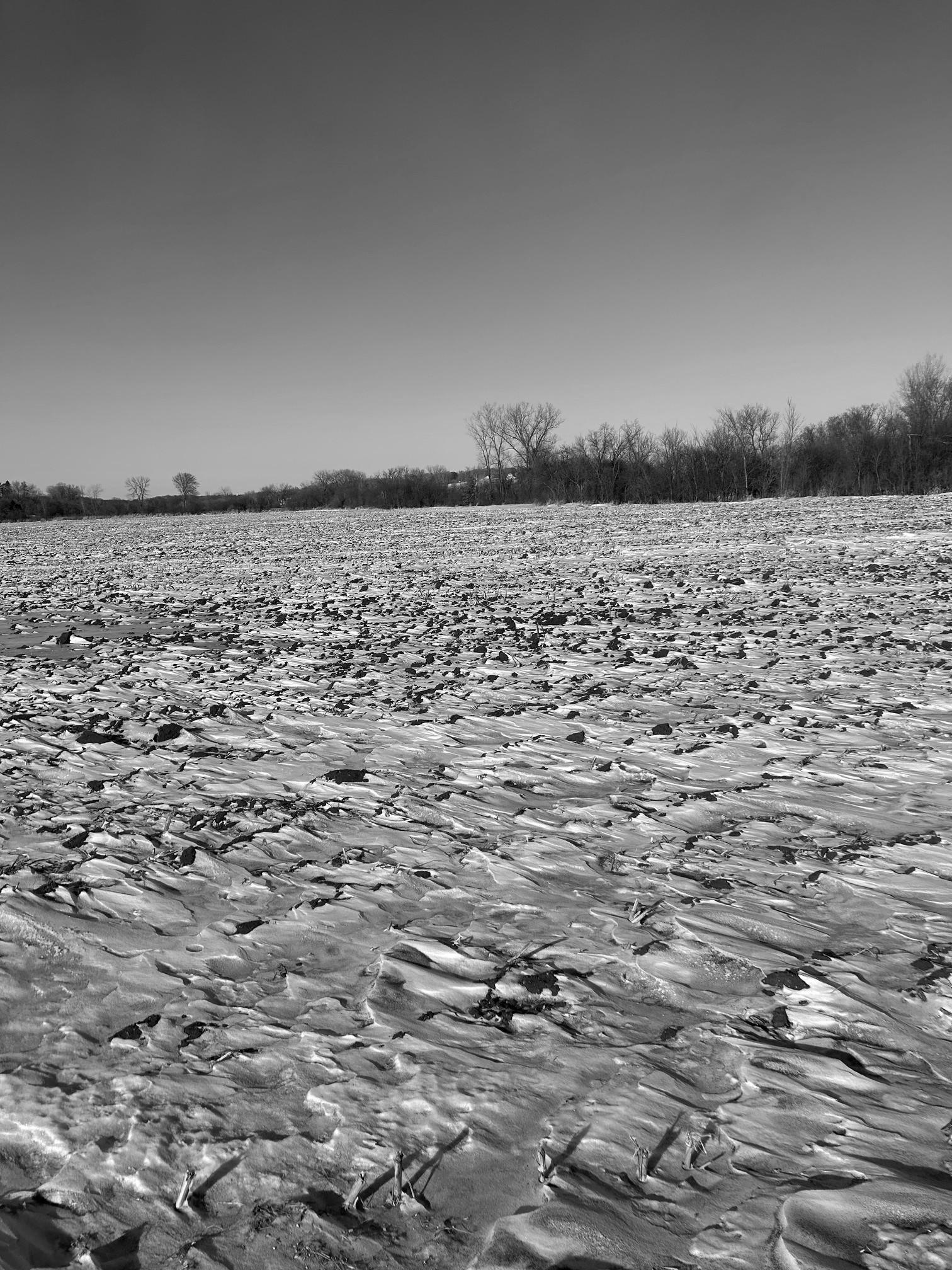 View of Land at XXXX 285th (180 Acres) Street, Northfield MN 55057, Northfield (9 of 66) - Mike Wilen | Minnesota Team Real Estate