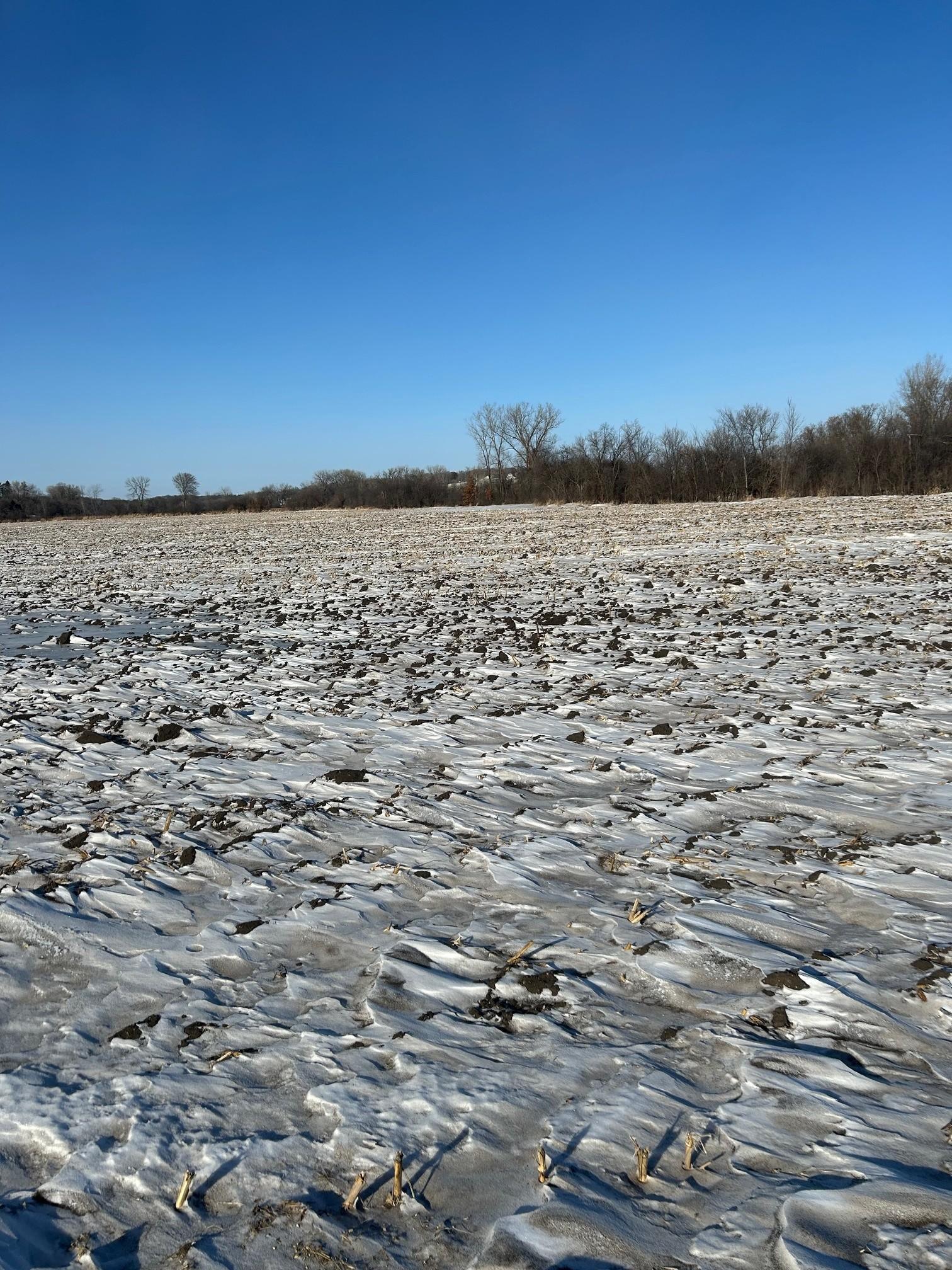 View of Land at XXXX 285th (180 Acres) Street, Northfield MN 55057, Northfield (10 of 66) - Mike Wilen | Minnesota Team Real Estate
