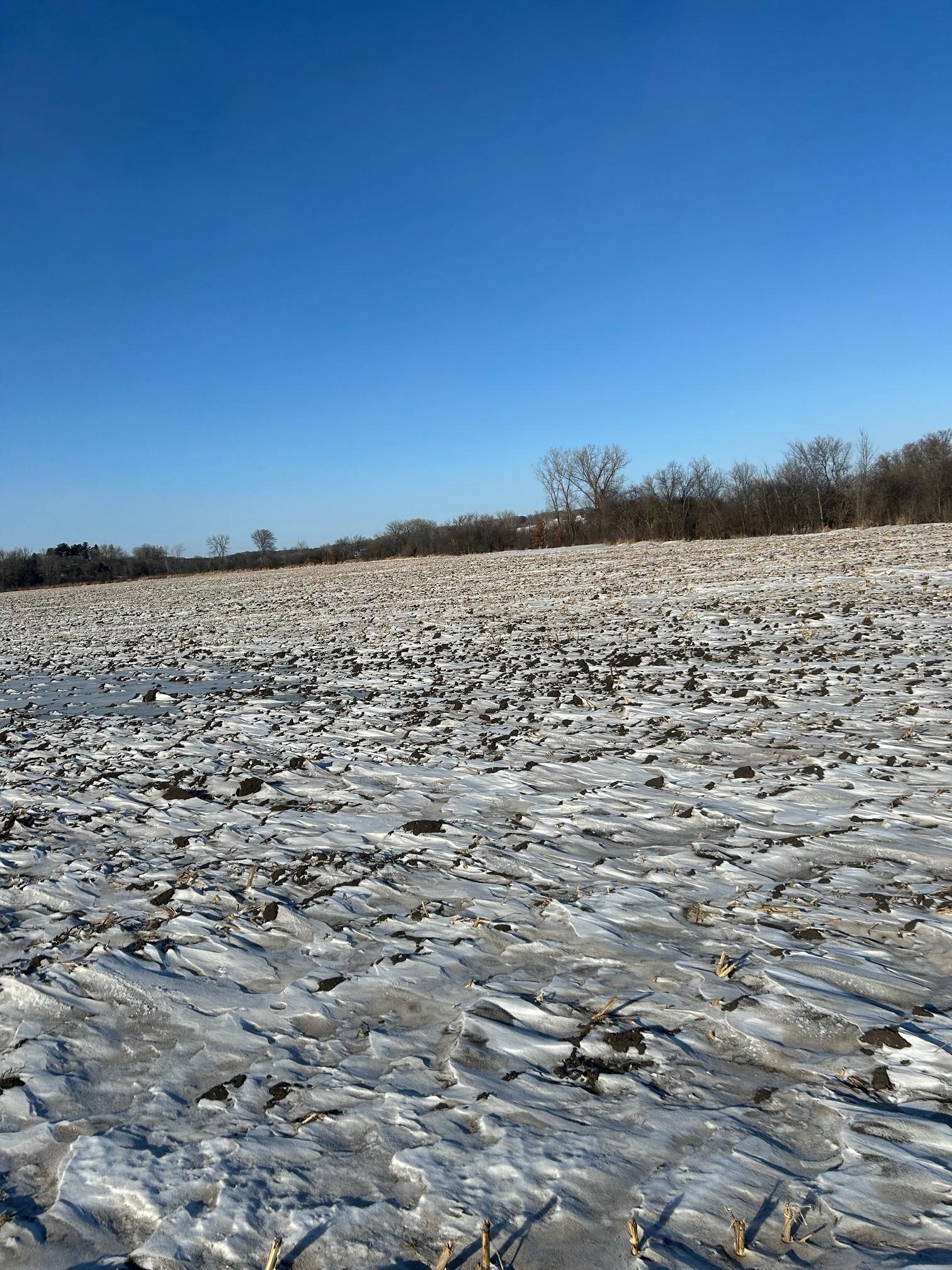 View of Land at XXXX 285th (180 Acres) Street, Northfield MN 55057, Northfield (11 of 66) - Mike Wilen | Minnesota Team Real Estate