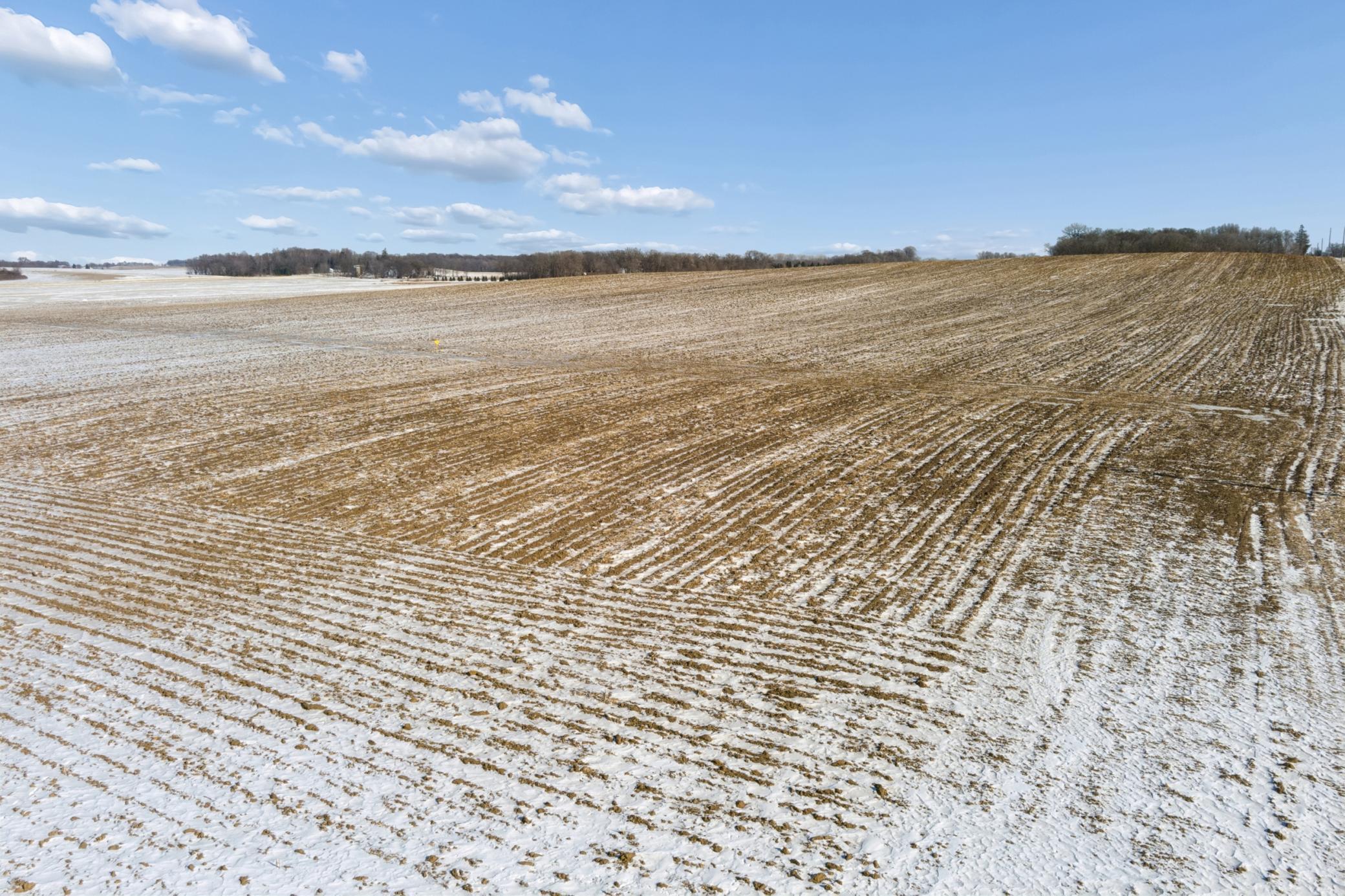 View of Land at XXXX 285th (180 Acres) Street, Northfield MN 55057, Northfield (30 of 66) - Mike Wilen | Minnesota Team Real Estate