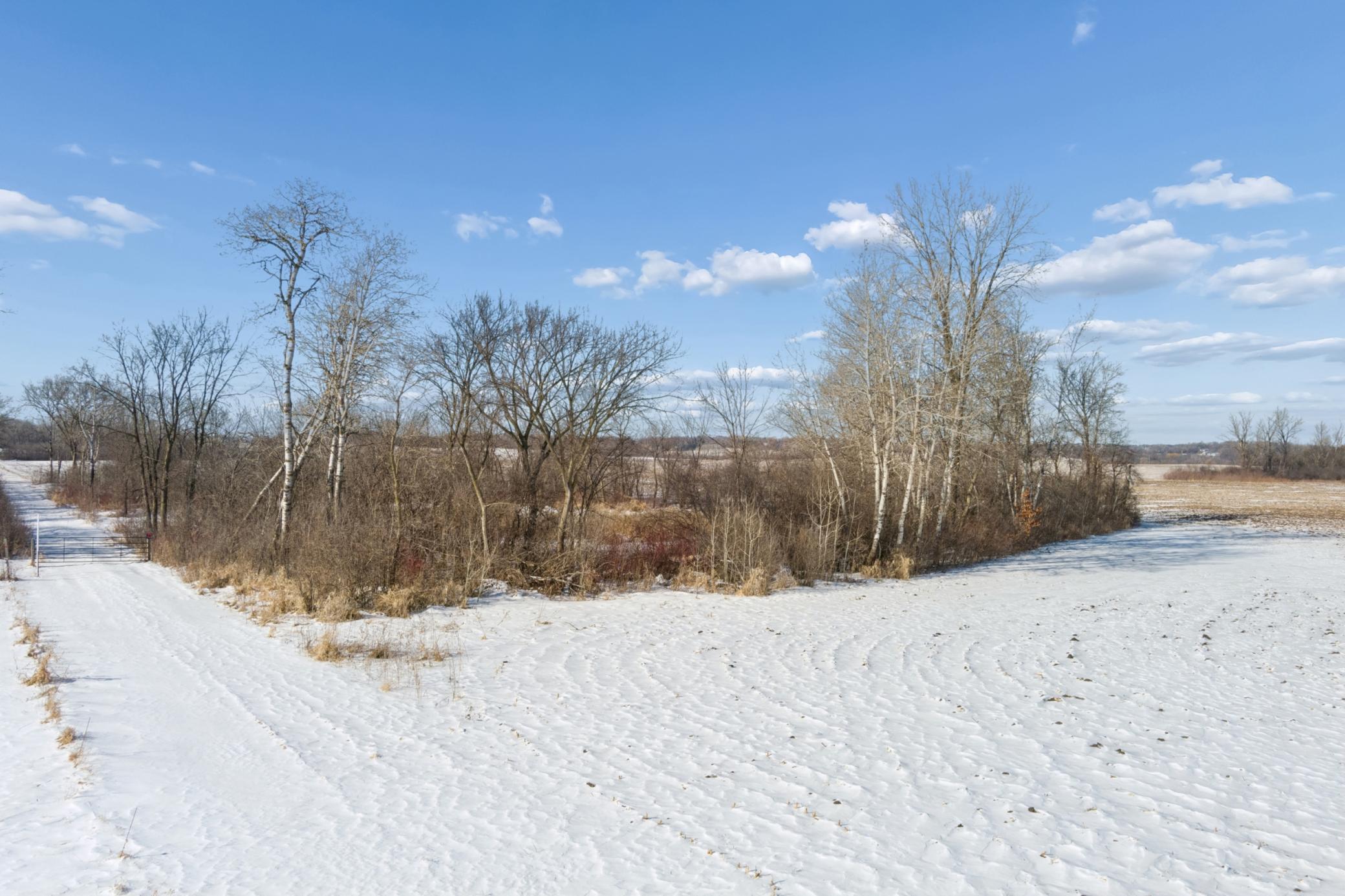View of Land at XXXX 285th (180 Acres) Street, Northfield MN 55057, Northfield (63 of 66) - Mike Wilen | Minnesota Team Real Estate