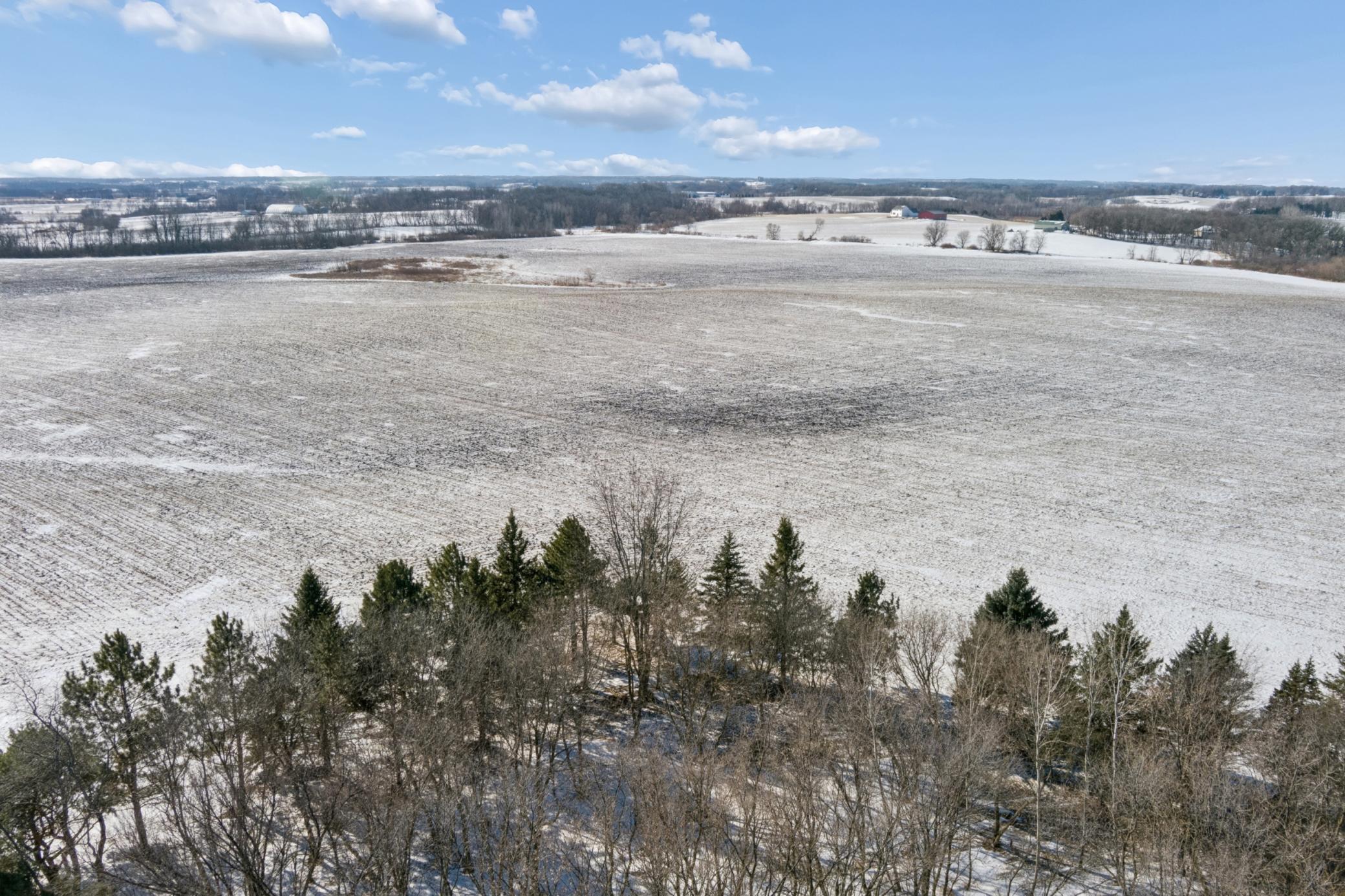 View of Land at XXXX 285th (180 Acres) Street, Northfield MN 55057, Northfield (61 of 66) - Mike Wilen | Minnesota Team Real Estate