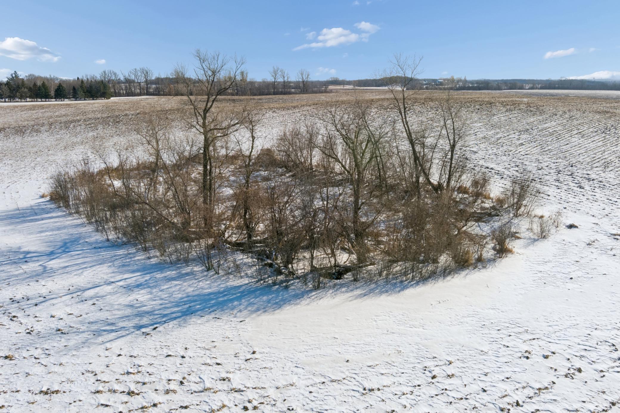 View of Land at XXXX 285th (180 Acres) Street, Northfield MN 55057, Northfield (60 of 66) - Mike Wilen | Minnesota Team Real Estate