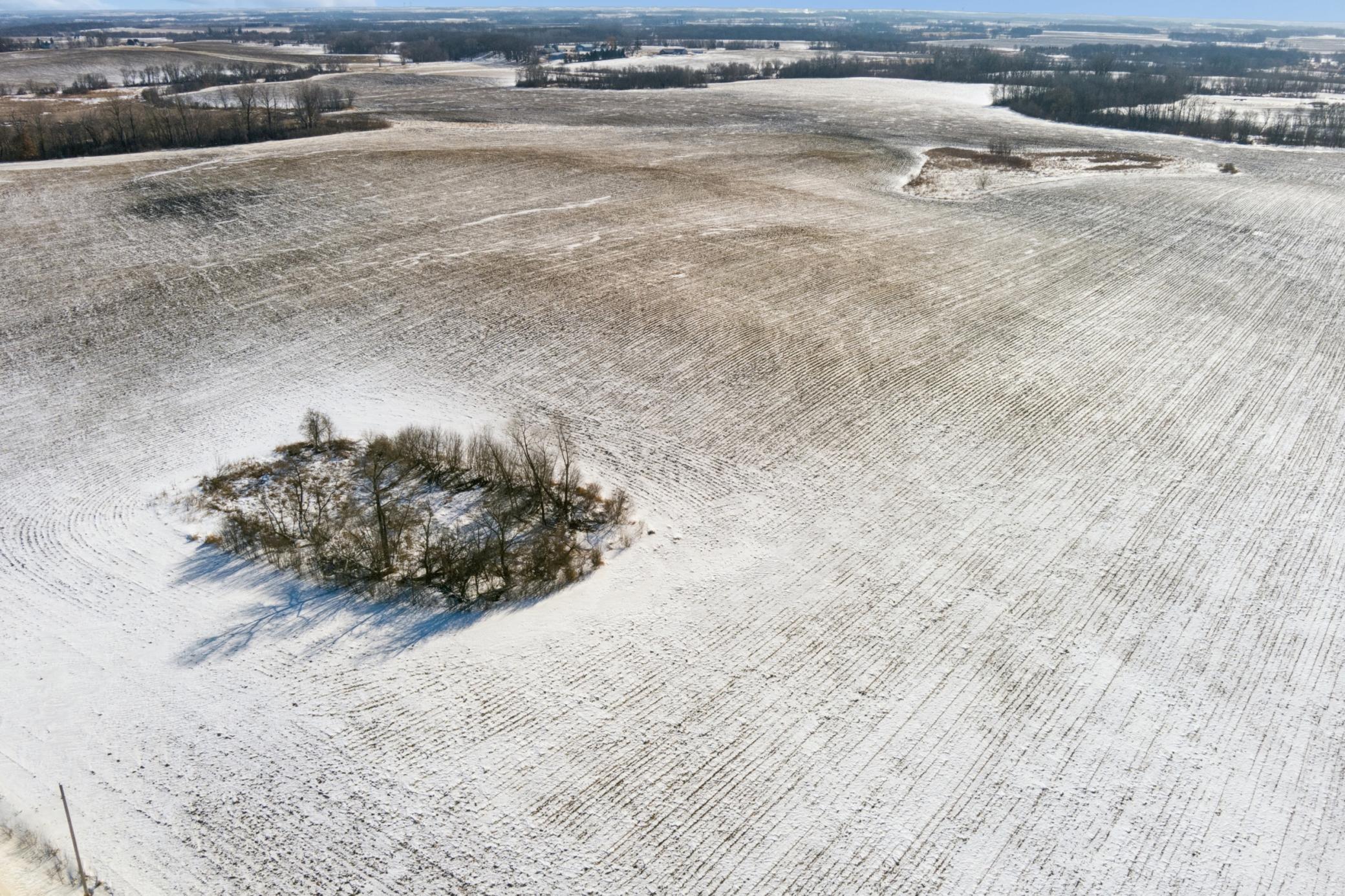 View of Land at XXXX 285th (180 Acres) Street, Northfield MN 55057, Northfield (59 of 66) - Mike Wilen | Minnesota Team Real Estate