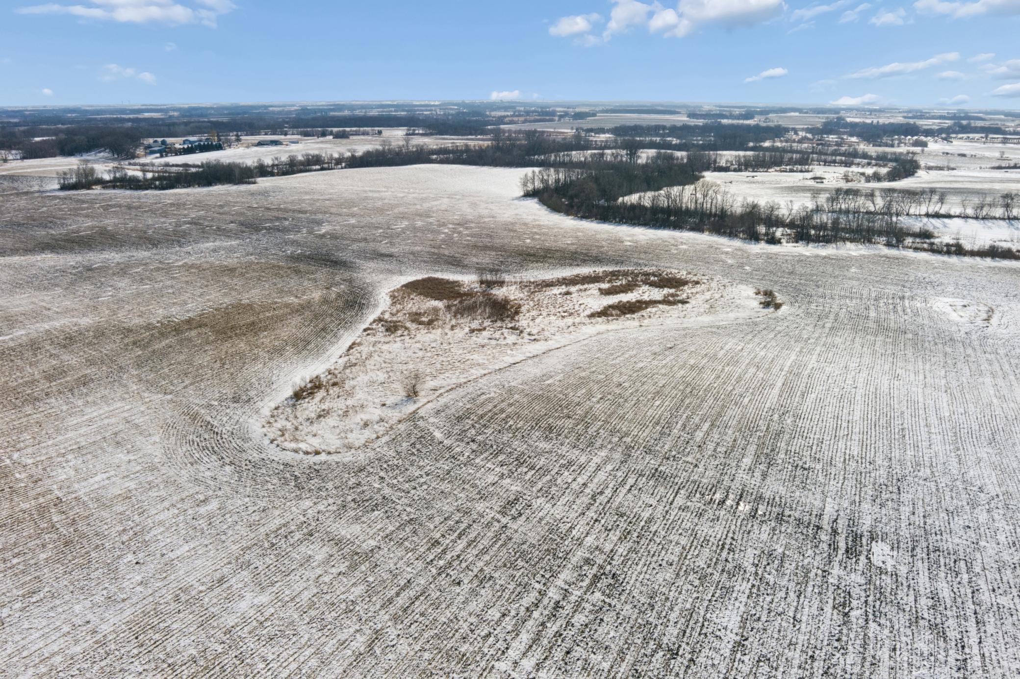 View of Land at XXXX 285th (180 Acres) Street, Northfield MN 55057, Northfield (58 of 66) - Mike Wilen | Minnesota Team Real Estate