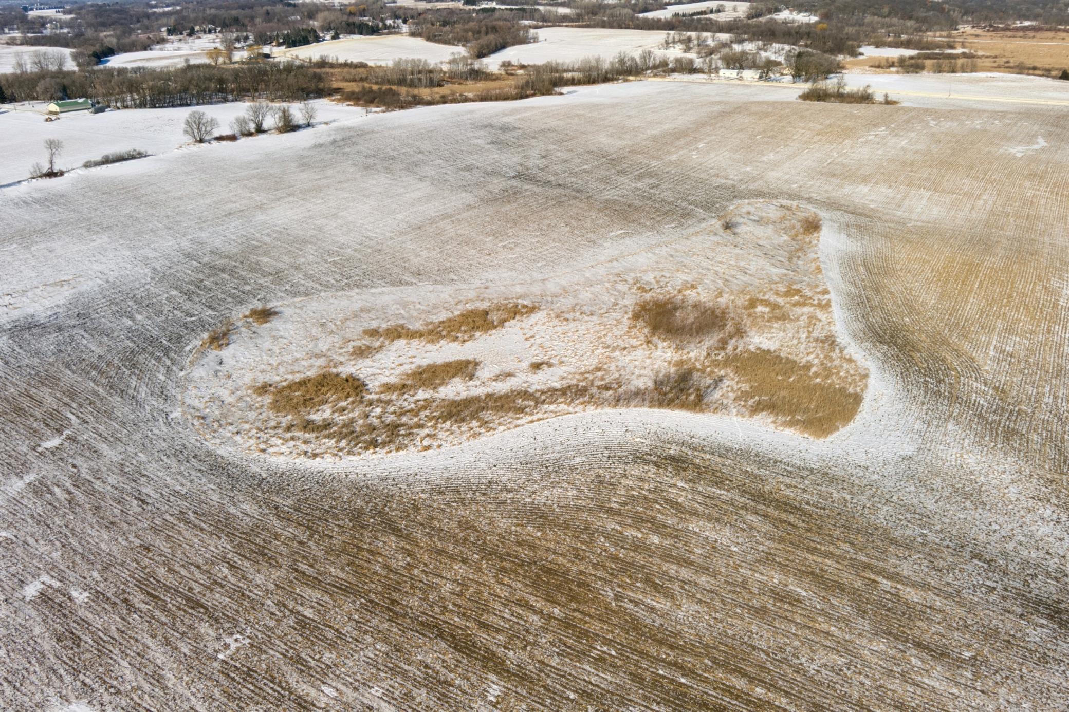 View of Land at XXXX 285th (180 Acres) Street, Northfield MN 55057, Northfield (57 of 66) - Mike Wilen | Minnesota Team Real Estate