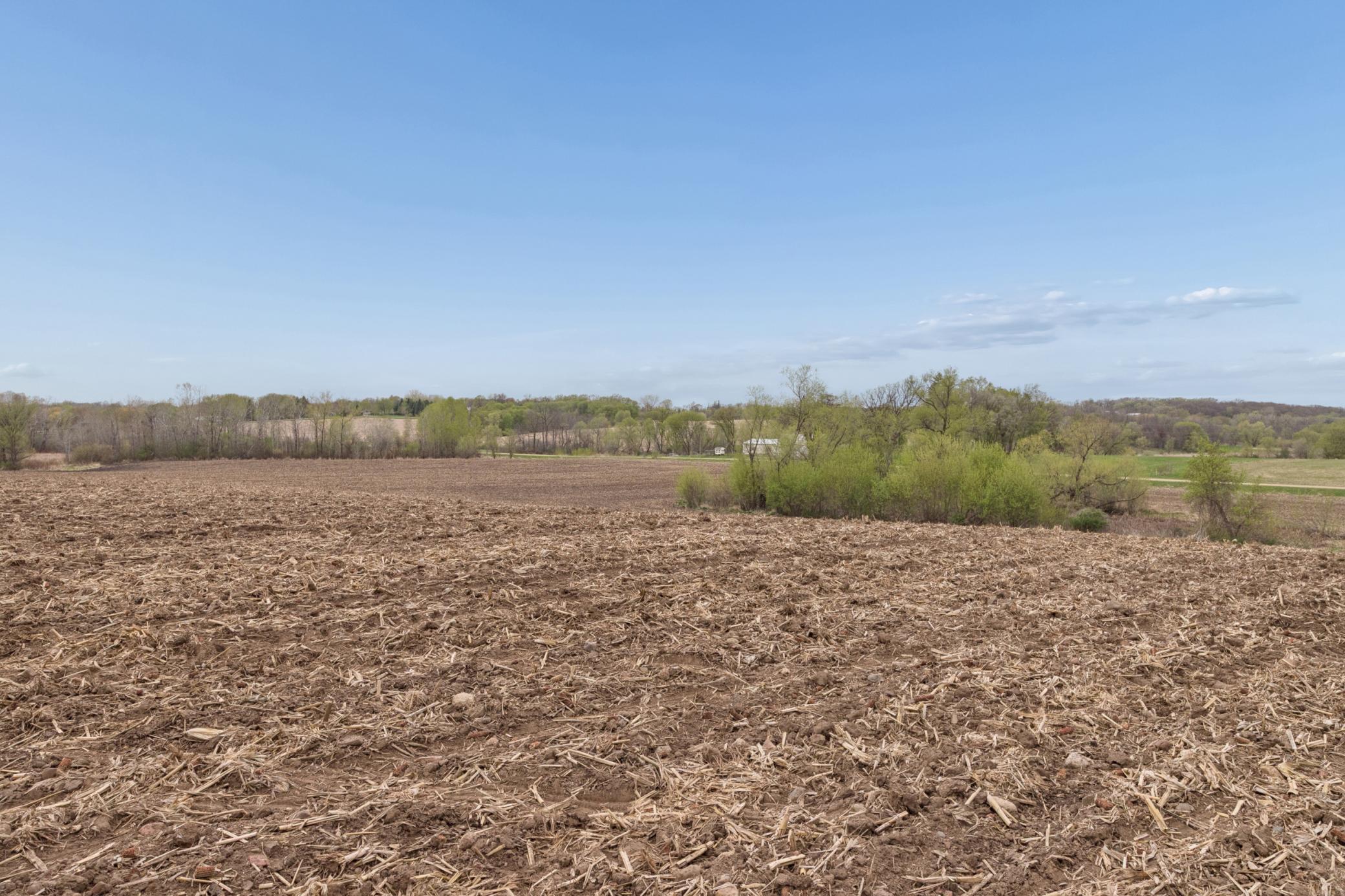 View of Land at XXXX 285th (180 Acres) Street, Northfield MN 55057, Northfield (47 of 66) - Mike Wilen | Minnesota Team Real Estate