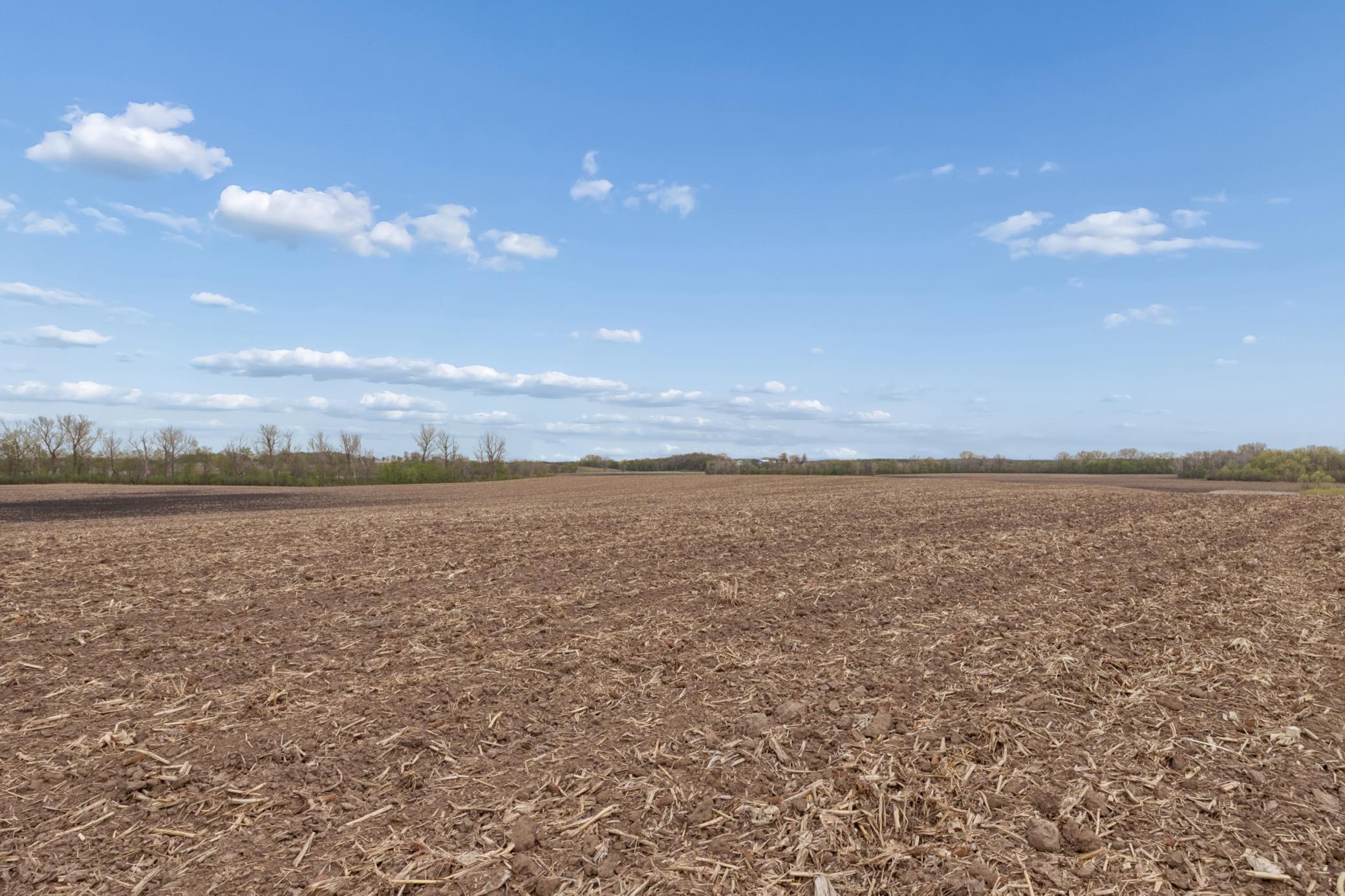 View of Land at XXXX 285th (180 Acres) Street, Northfield MN 55057, Northfield (45 of 66) - Mike Wilen | Minnesota Team Real Estate
