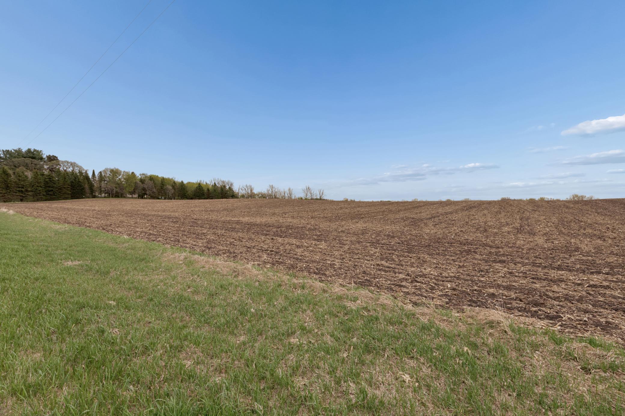 View of Land at XXXX 285th (180 Acres) Street, Northfield MN 55057, Northfield (43 of 66) - Mike Wilen | Minnesota Team Real Estate