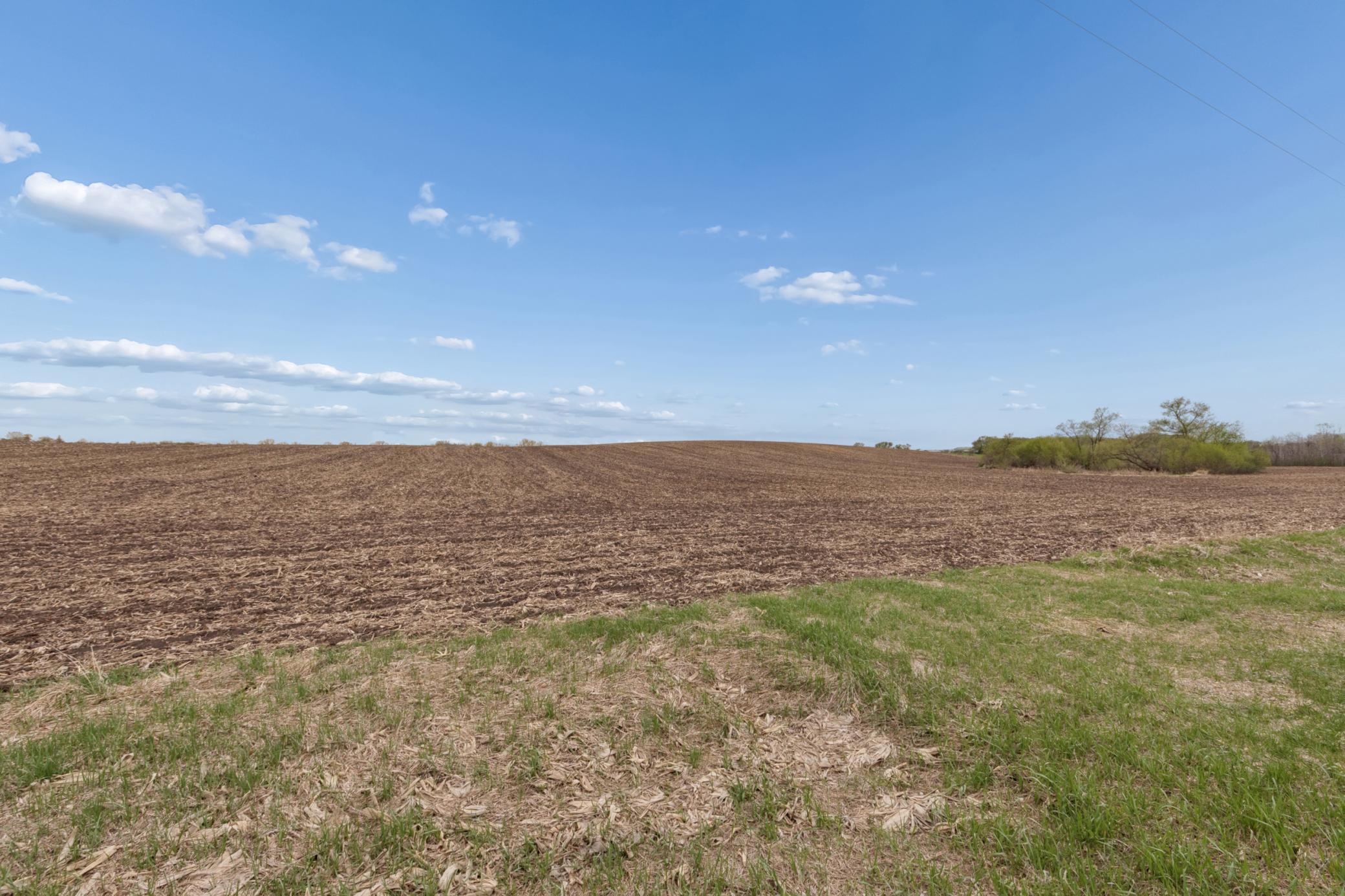 View of Land at XXXX 285th (180 Acres) Street, Northfield MN 55057, Northfield (42 of 66) - Mike Wilen | Minnesota Team Real Estate