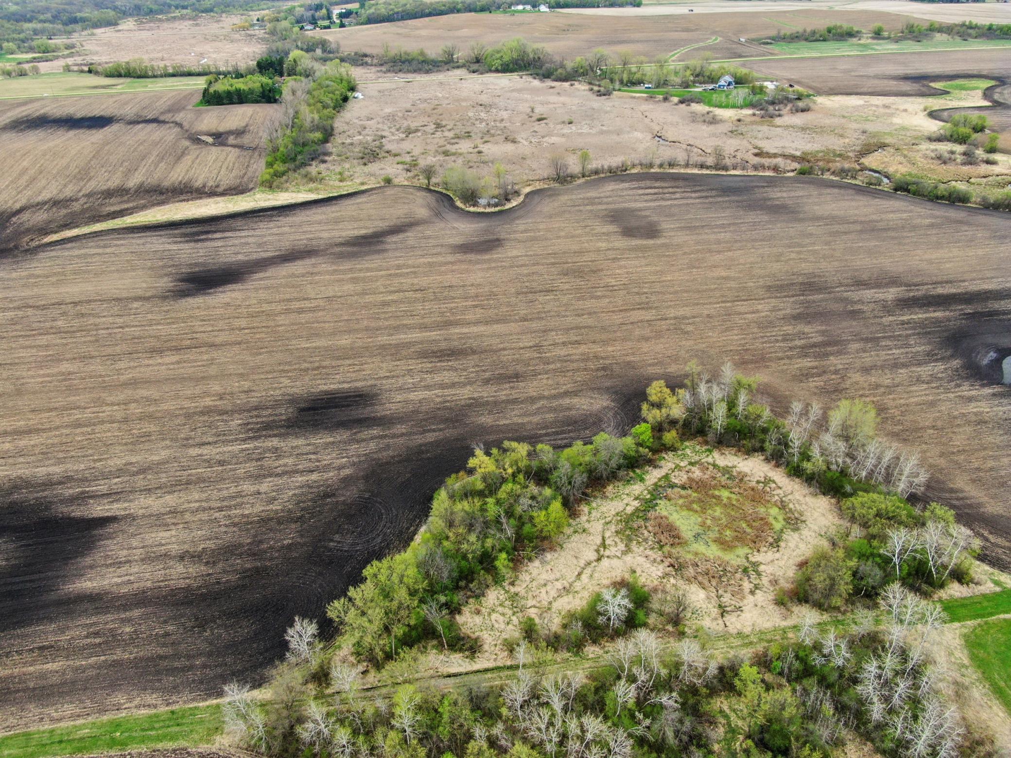 View of Land at XXXX 285th (180 Acres) Street, Northfield MN 55057, Northfield (39 of 66) - Mike Wilen | Minnesota Team Real Estate