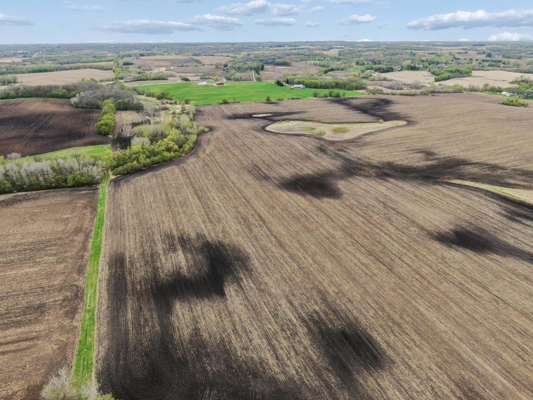 View of Land at XXXX 285th (180 Acres) Street, Northfield MN 55057, Northfield (37 of 66) - Mike Wilen | Minnesota Team Real Estate