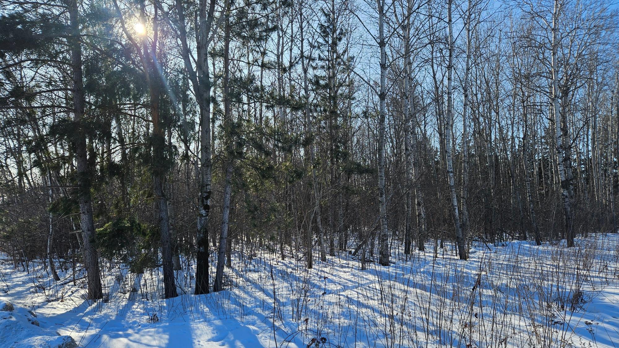 View of Land at TBD Oak Street, Brainerd MN 56401, Brainerd (8 of 21) - Mike Wilen | Minnesota Team Real Estate
