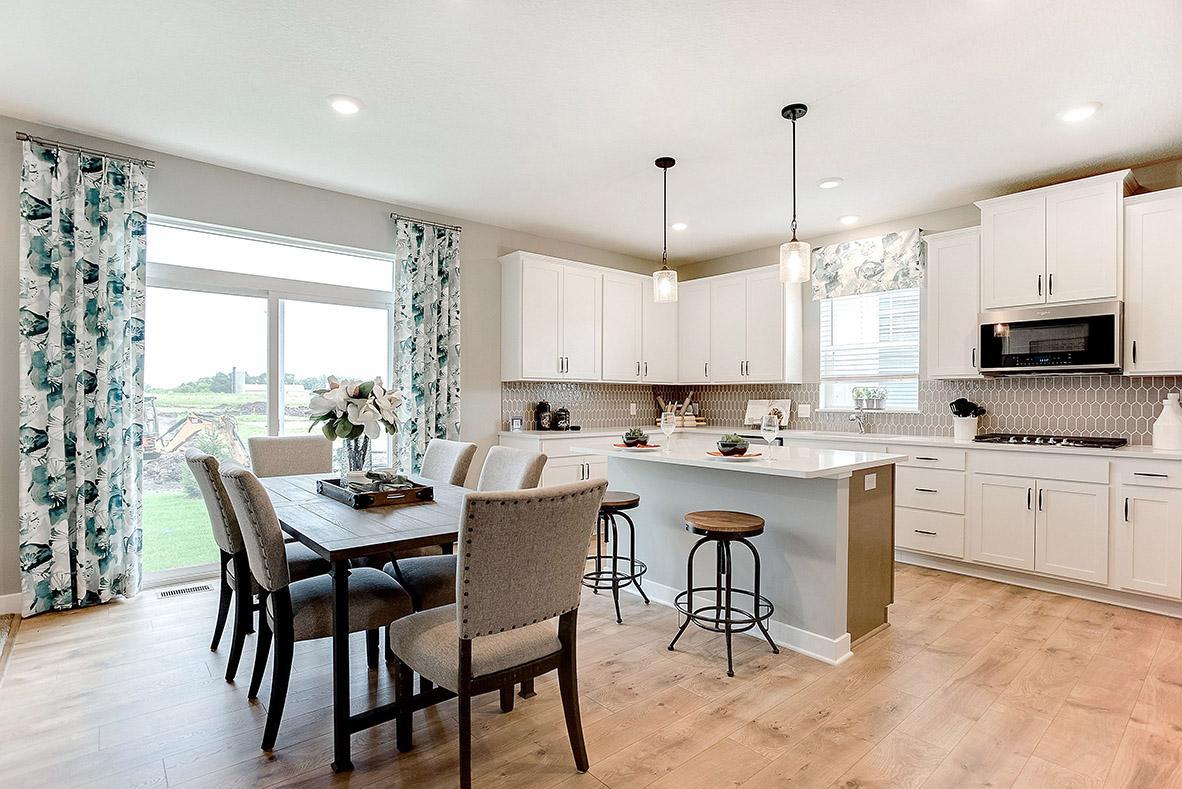 View of Residential at 528 Goldenrod Trail, Waconia MN 55387, Waconia (3 of 48) - Mike Wilen | Minnesota Team Real Estate