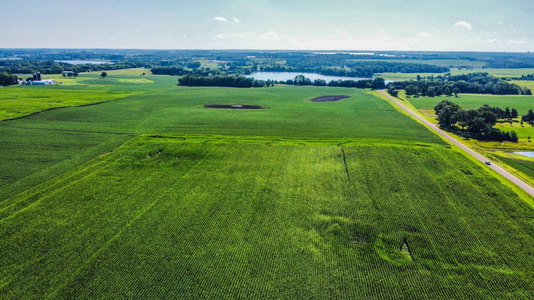 View of Land at 7250 Rutz Lake Road, Waconia MN 55387, Waconia (4 of 6) - Mike Wilen | Minnesota Team Real Estate