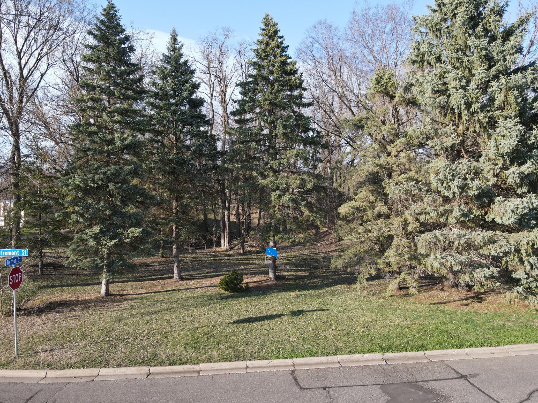 View of Land at 1167 Benton Street, Anoka MN 55303, Anoka (3 of 14) - Mike Wilen | Minnesota Team Real Estate
