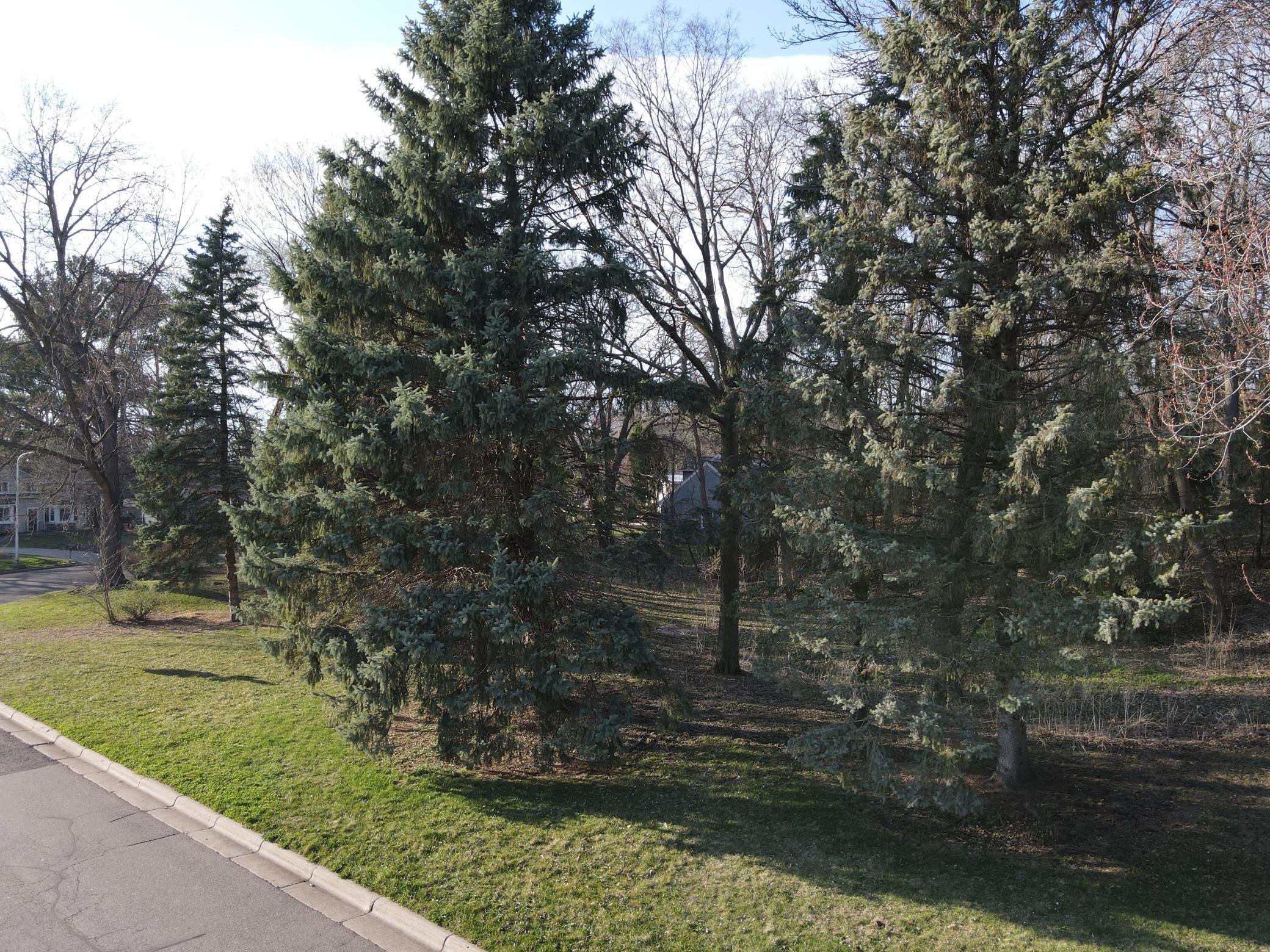 View of Land at 1167 Benton Street, Anoka MN 55303, Anoka (7 of 14) - Mike Wilen | Minnesota Team Real Estate