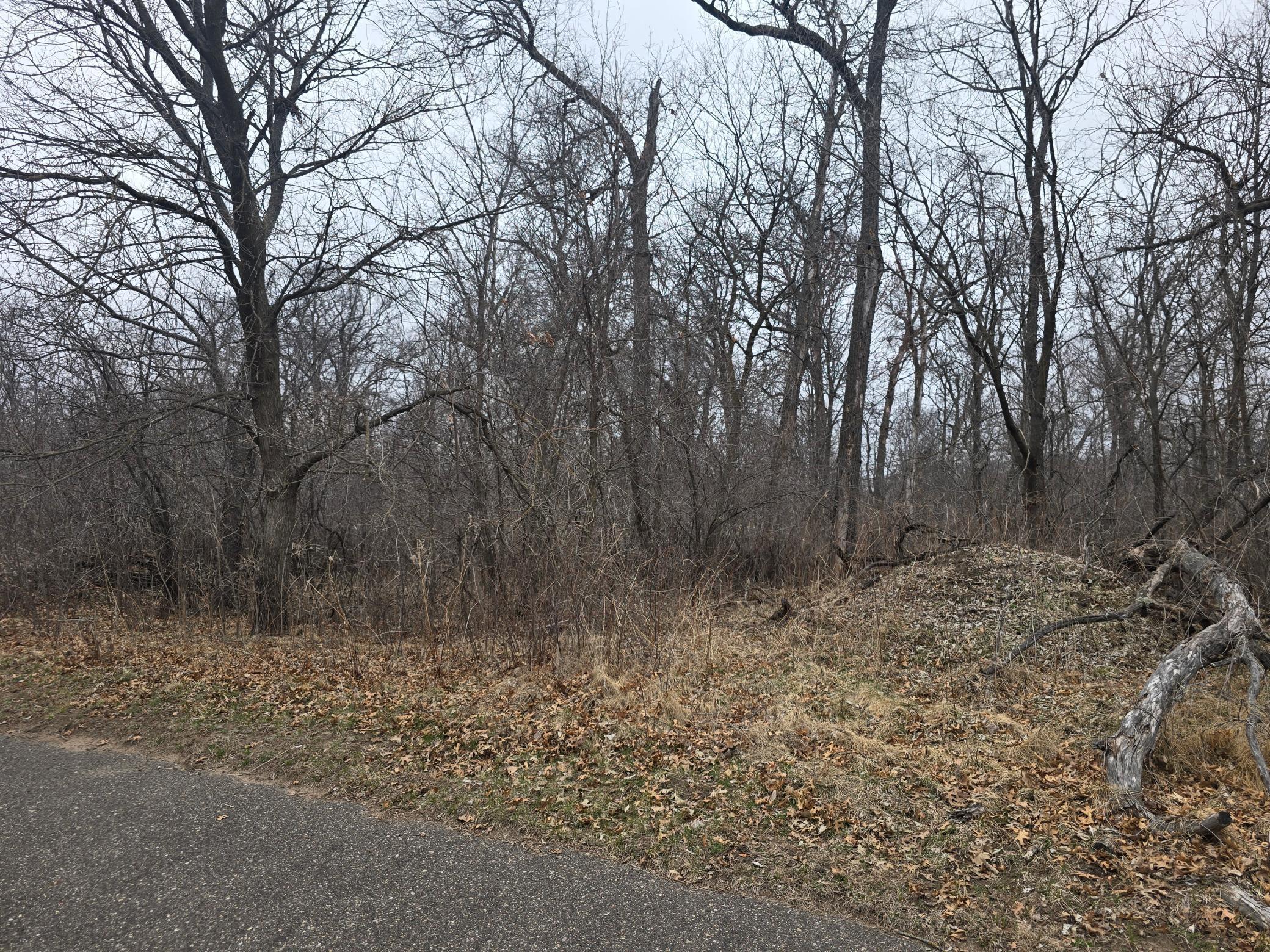View of Land at L1,B2 288th Avenue, Princeton MN 55398, Princeton (4 of 5) - Mike Wilen | Minnesota Team Real Estate