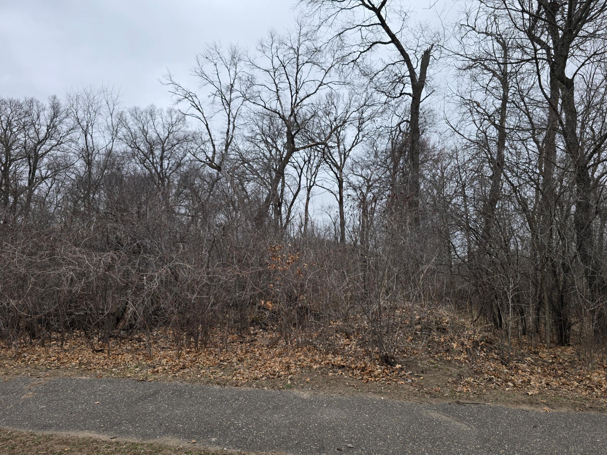 View of Land at L1,B2 288th Avenue, Princeton MN 55398, Princeton (3 of 5) - Mike Wilen | Minnesota Team Real Estate