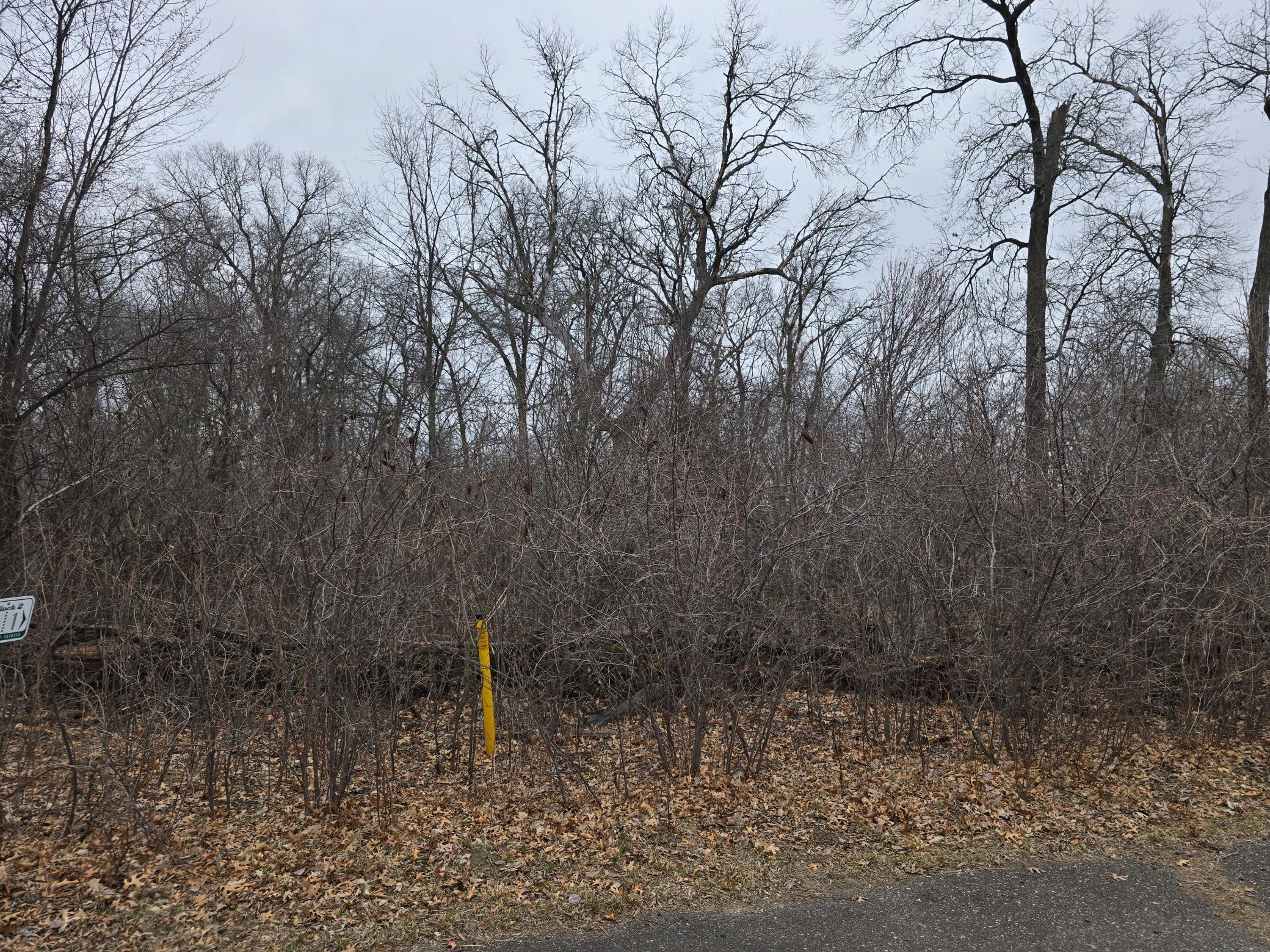 View of Land at L1,B2 288th Avenue, Princeton MN 55398, Princeton (2 of 5) - Mike Wilen | Minnesota Team Real Estate