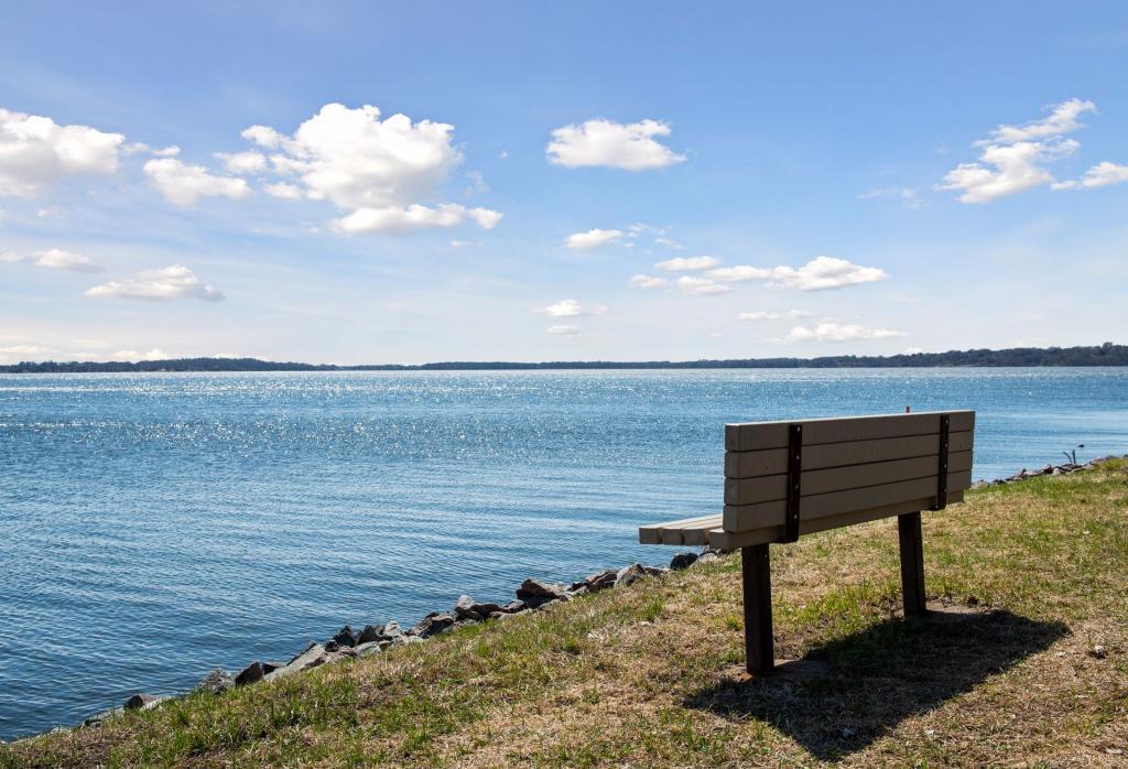 View of Land at TBD Lake Blvd, Buffalo MN 55313, Buffalo (14 of 44) - Mike Wilen | Minnesota Team Real Estate