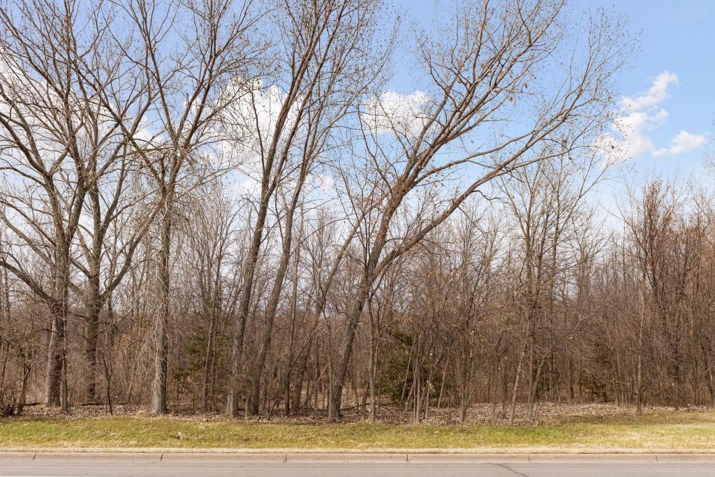 View of Land at TBD Lake Blvd, Buffalo MN 55313, Buffalo (26 of 44) - Mike Wilen | Minnesota Team Real Estate