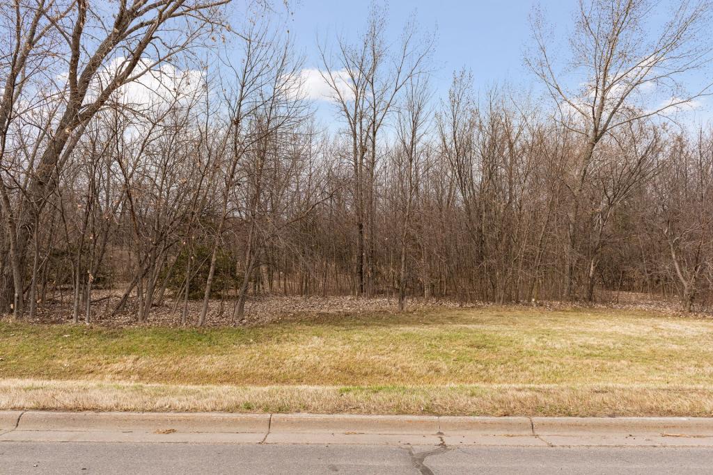 View of Land at TBD Lake Blvd, Buffalo MN 55313, Buffalo (28 of 44) - Mike Wilen | Minnesota Team Real Estate