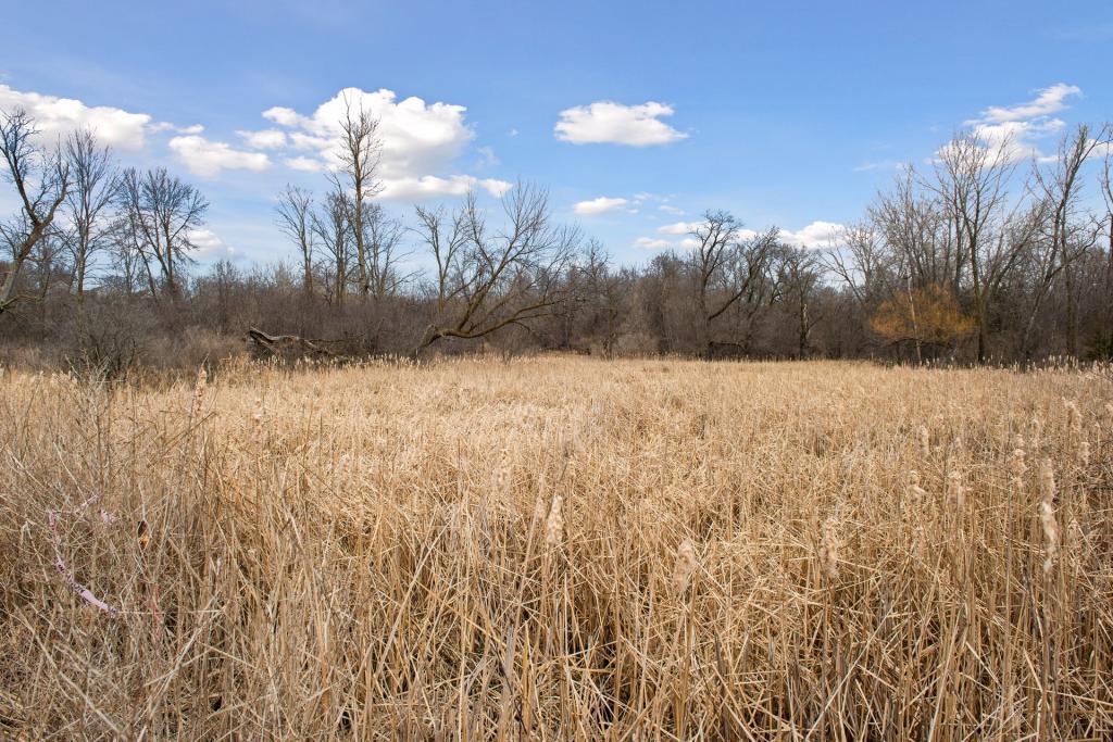 View of Land at TBD Lake Blvd, Buffalo MN 55313, Buffalo (29 of 44) - Mike Wilen | Minnesota Team Real Estate