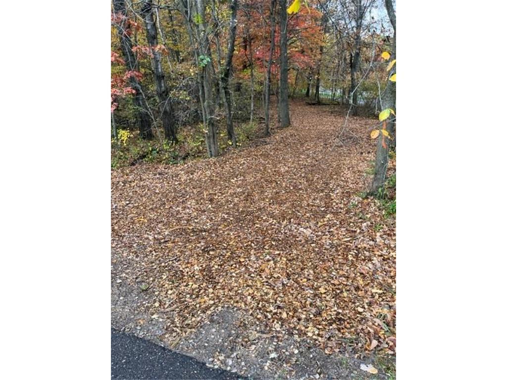 View of Land at Lot 5 Tiger Street, Zimmerman MN 55398, Zimmerman - Mike Wilen | Minnesota Team Real Estate