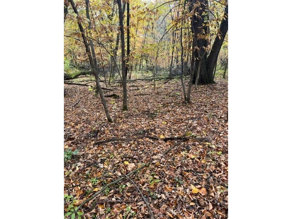 View of Land at Lot 3 Tiger Street, Zimmerman MN 55398, Zimmerman (14 of 32) - Mike Wilen | Minnesota Team Real Estate