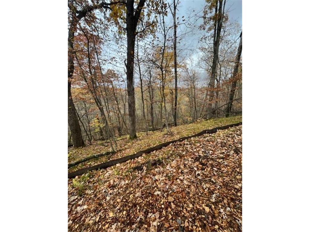 View of Land at Lot 3 Tiger Street, Zimmerman MN 55398, Zimmerman (22 of 32) - Mike Wilen | Minnesota Team Real Estate