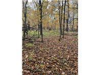 View of Land at Lot 3 Tiger Street, Zimmerman MN 55398, Zimmerman (28 of 32) - Mike Wilen | Minnesota Team Real Estate
